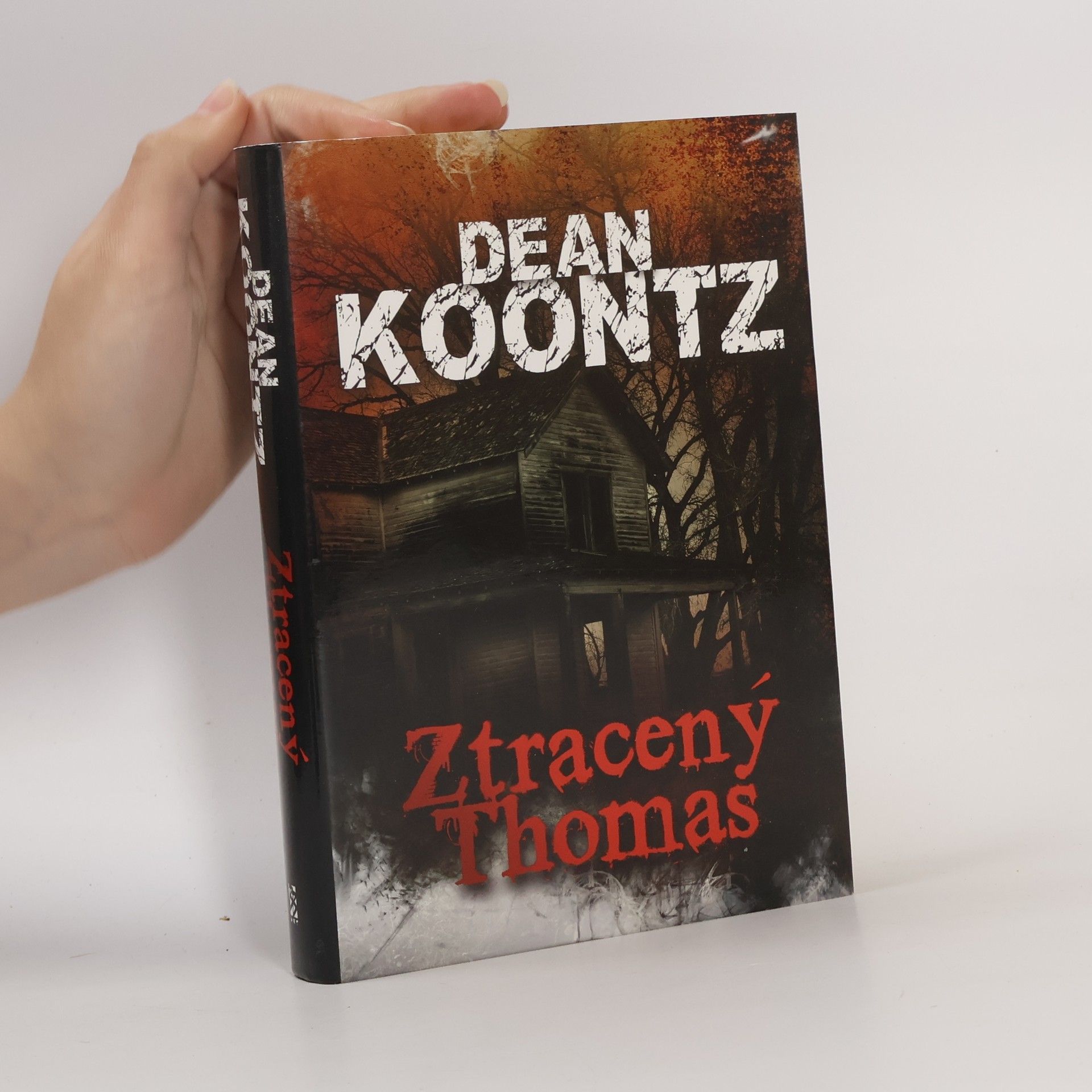 Dean Ray Koontz Ztracený Thomas