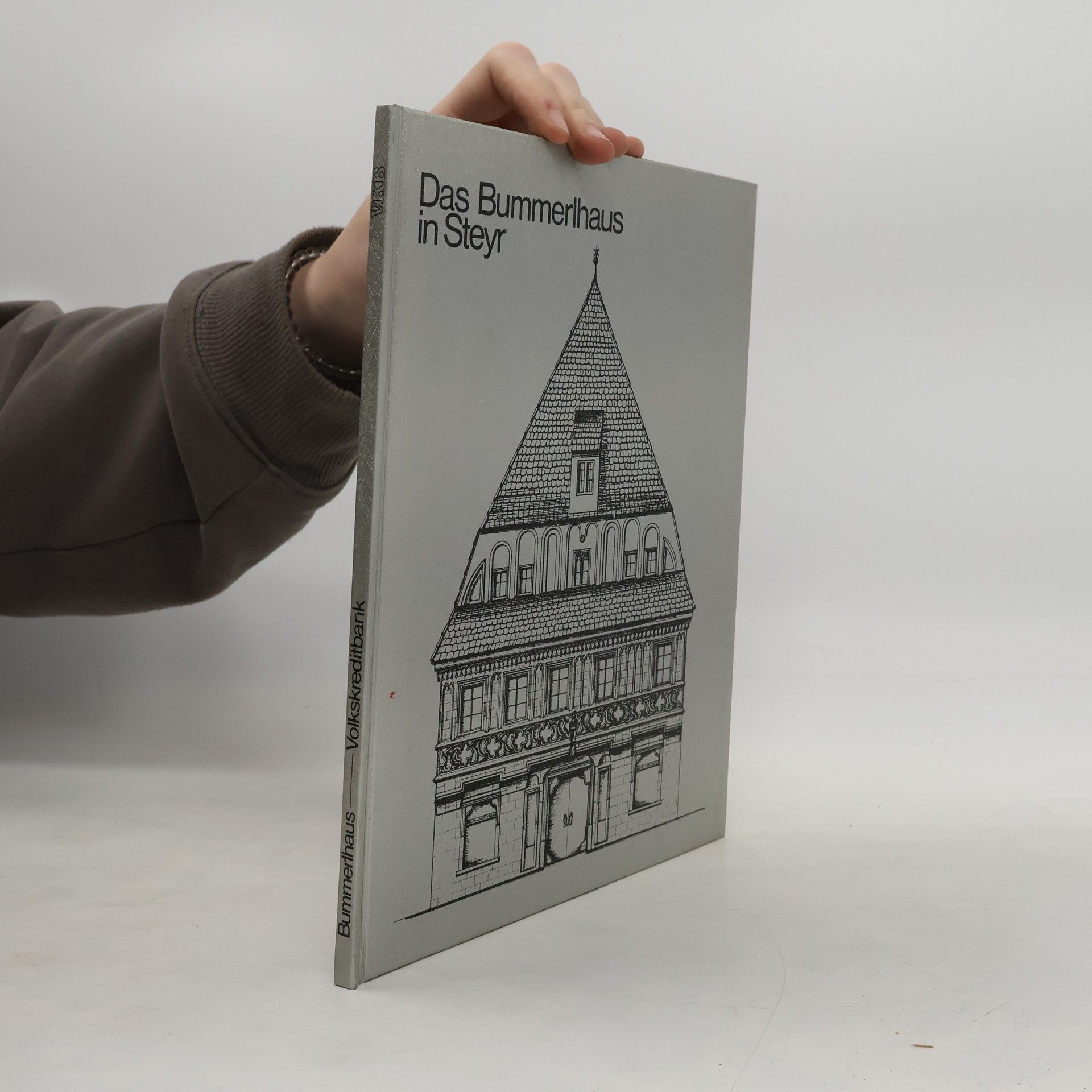 Various authors Das Bummerlhaus in Steyr