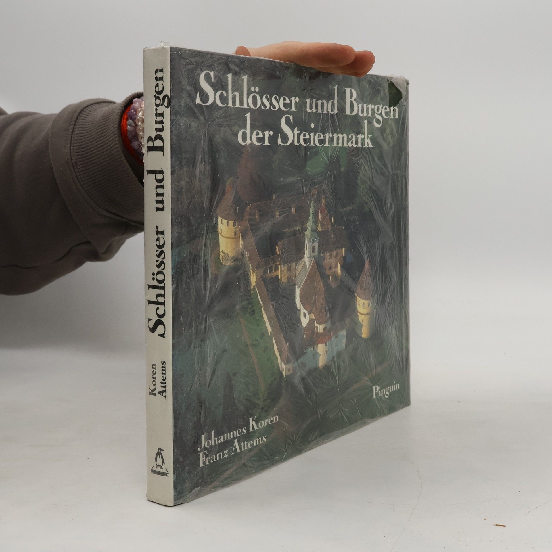 Johannes Koren Schlösser und Burgen der Steiermark