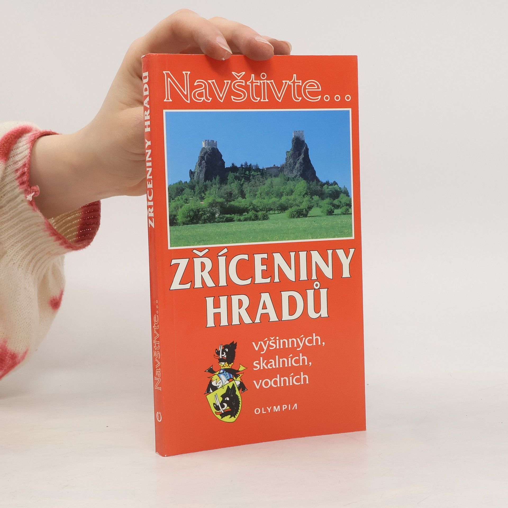 Kolektív autorov Zříceniny hradů výšinných, skalních, vodních