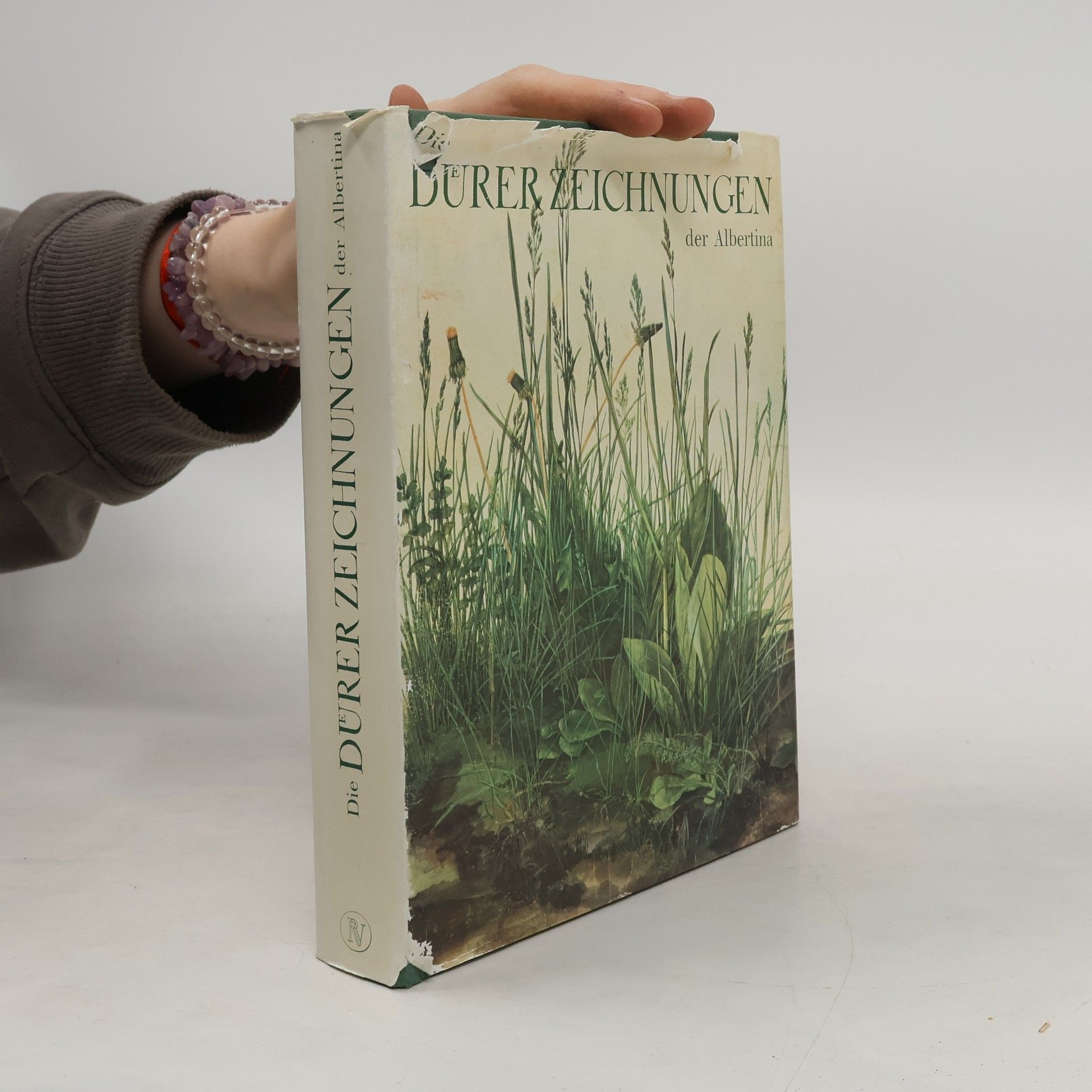 Autorenkollektiv Die Dürerzeichnungen der Albertina