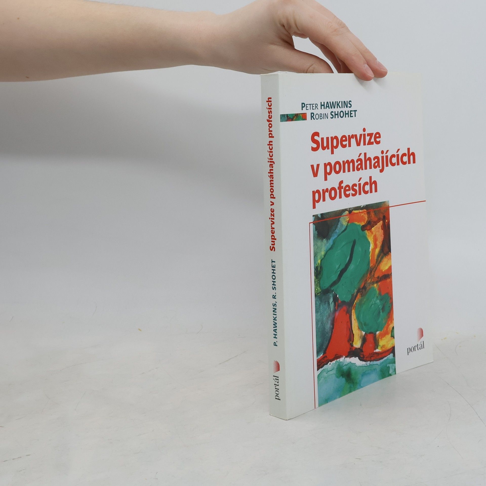 Robin Shohet Supervize v pomáhajících profesích