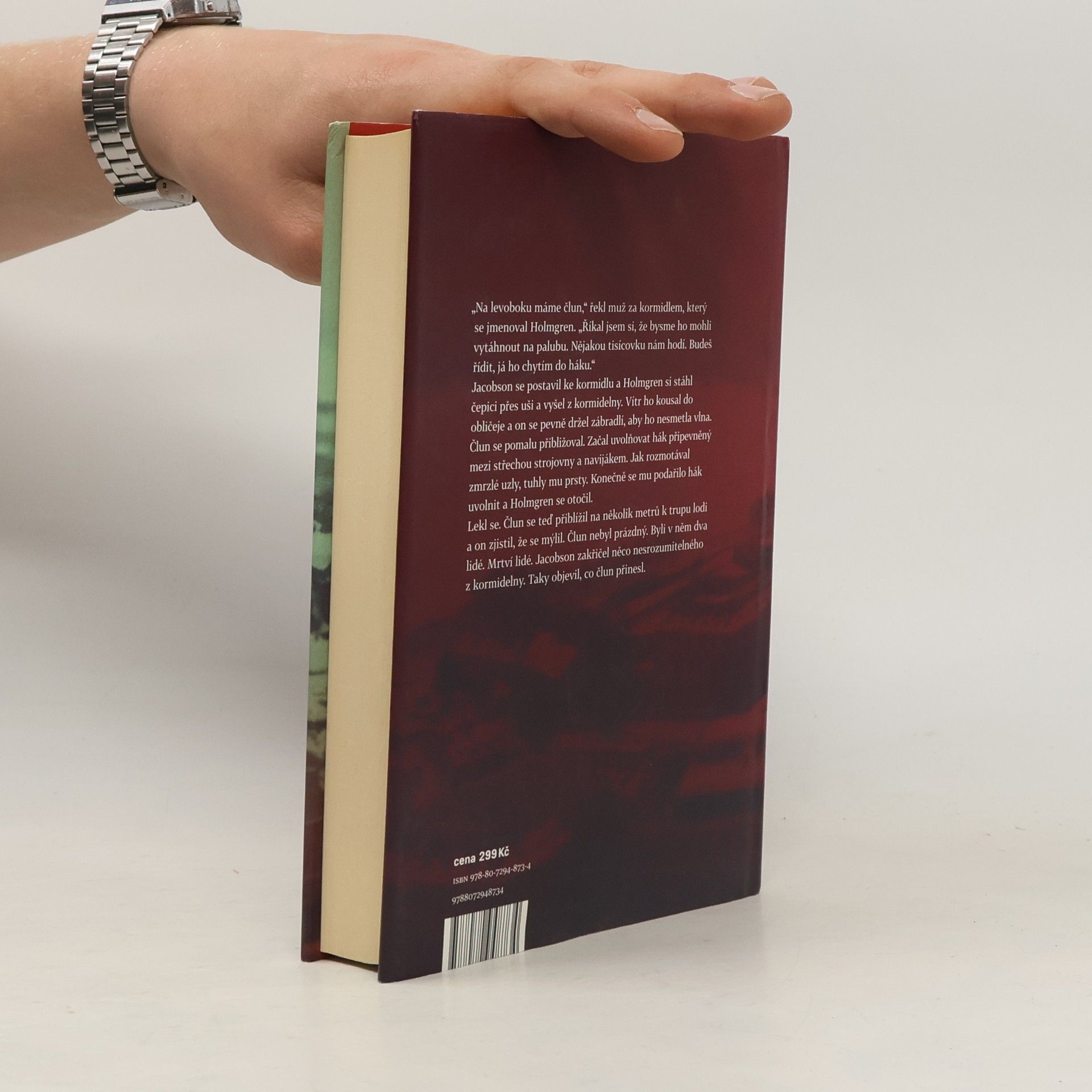 Henning Mankell Psi z Rigy