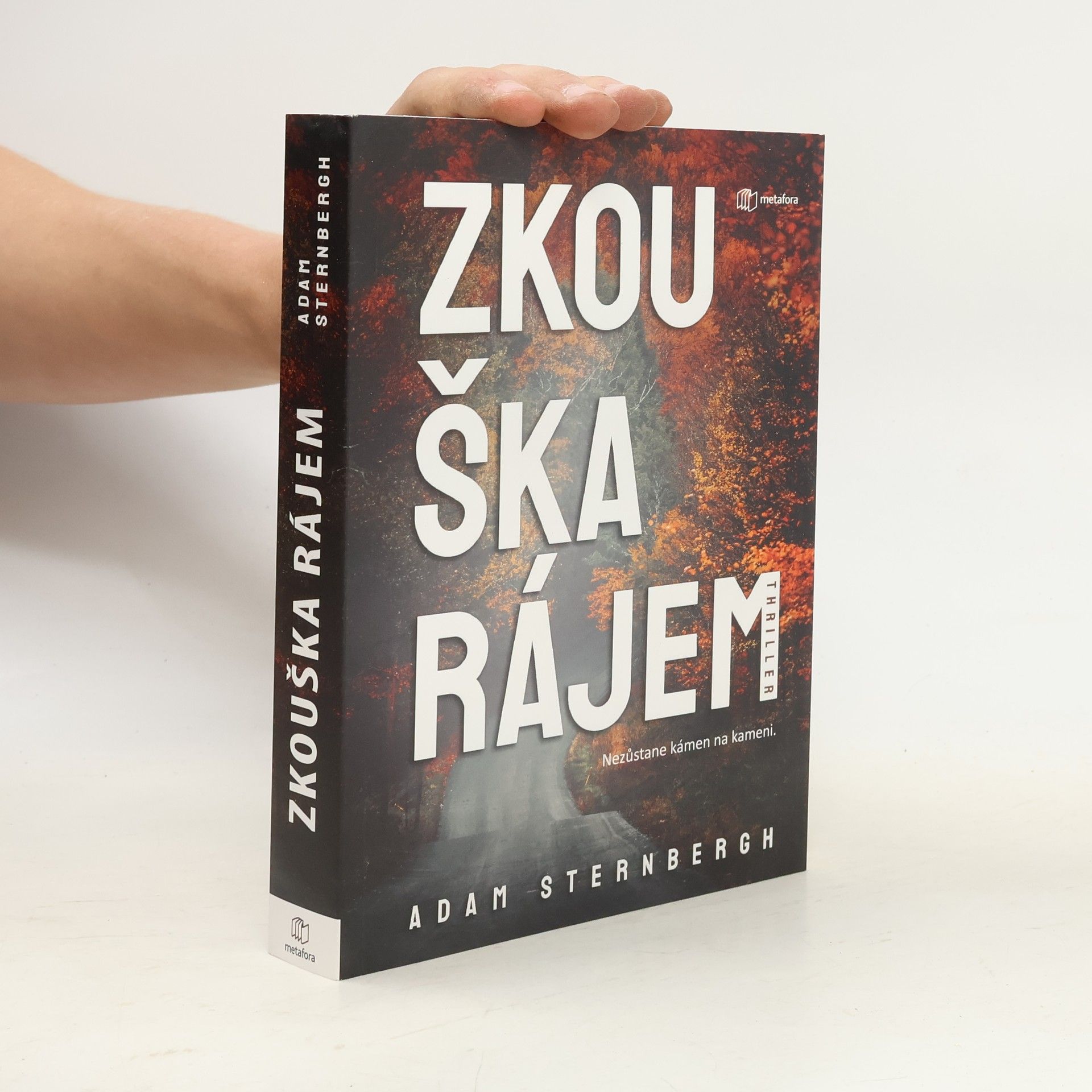 Adam Sternbergh Zkouška rájem