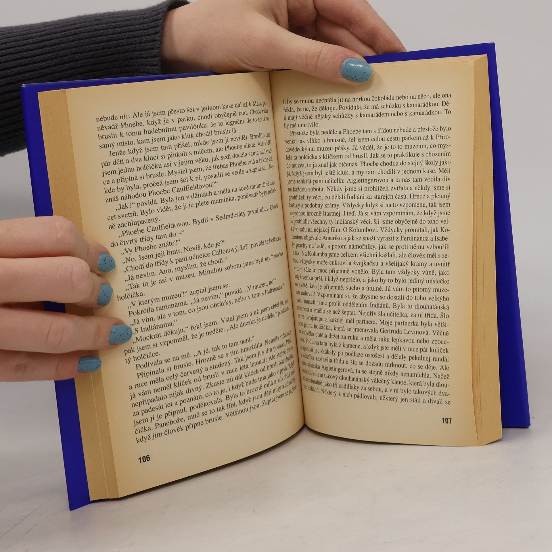 J. D. Salinger Kdo chytá v žitě