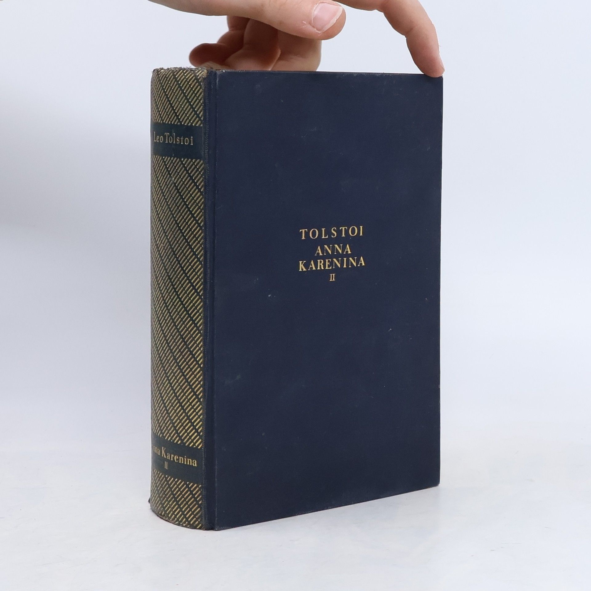 Lew Nikolajewitsch Tolstoi Anna Karenina II