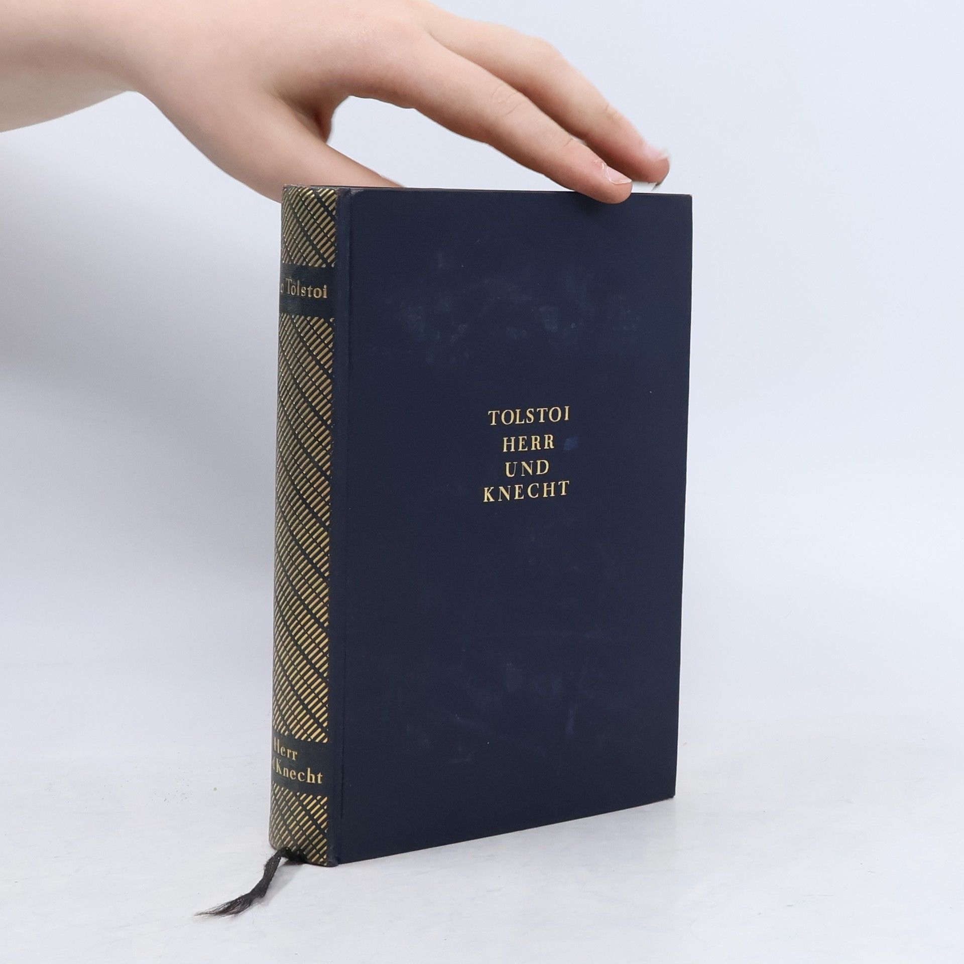Lew Nikolajewitsch Tolstoi Herr und Knecht