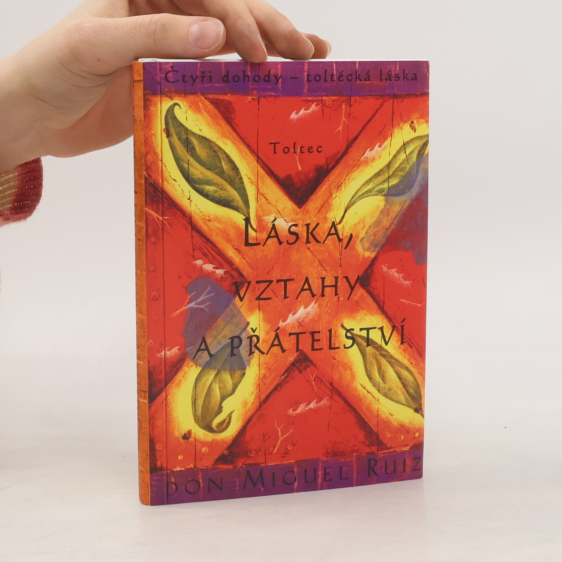 Don Miguel Ruiz Láska, vztahy a přátelství