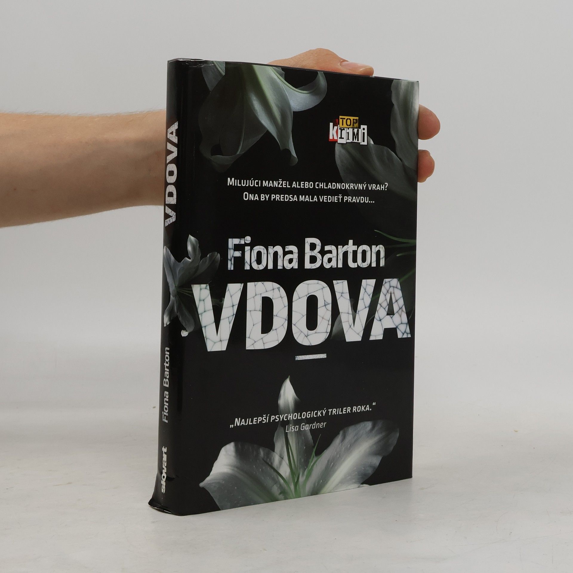 Fiona Barton Vdova