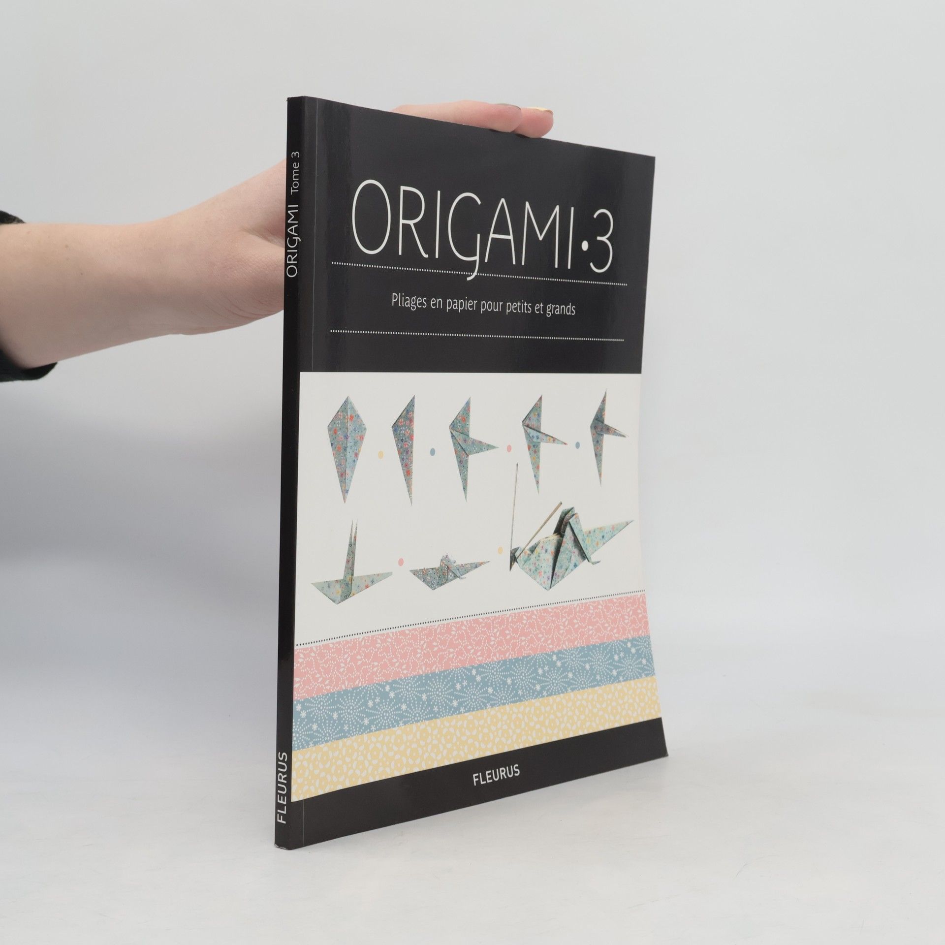 Origami 3