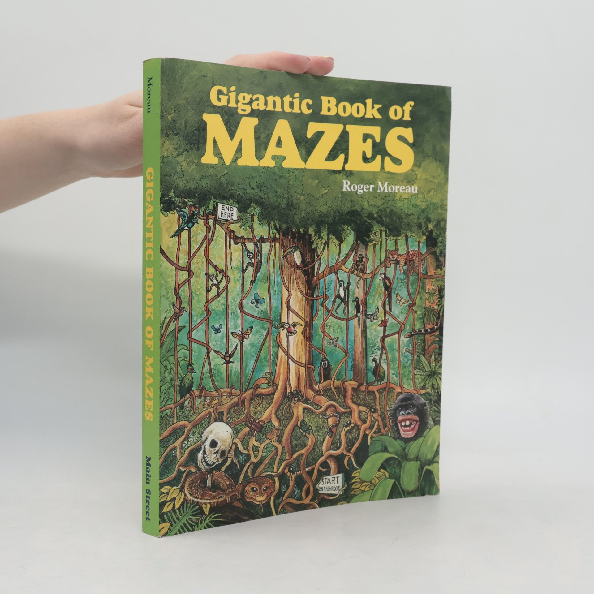 Gigantic Book of Mazes