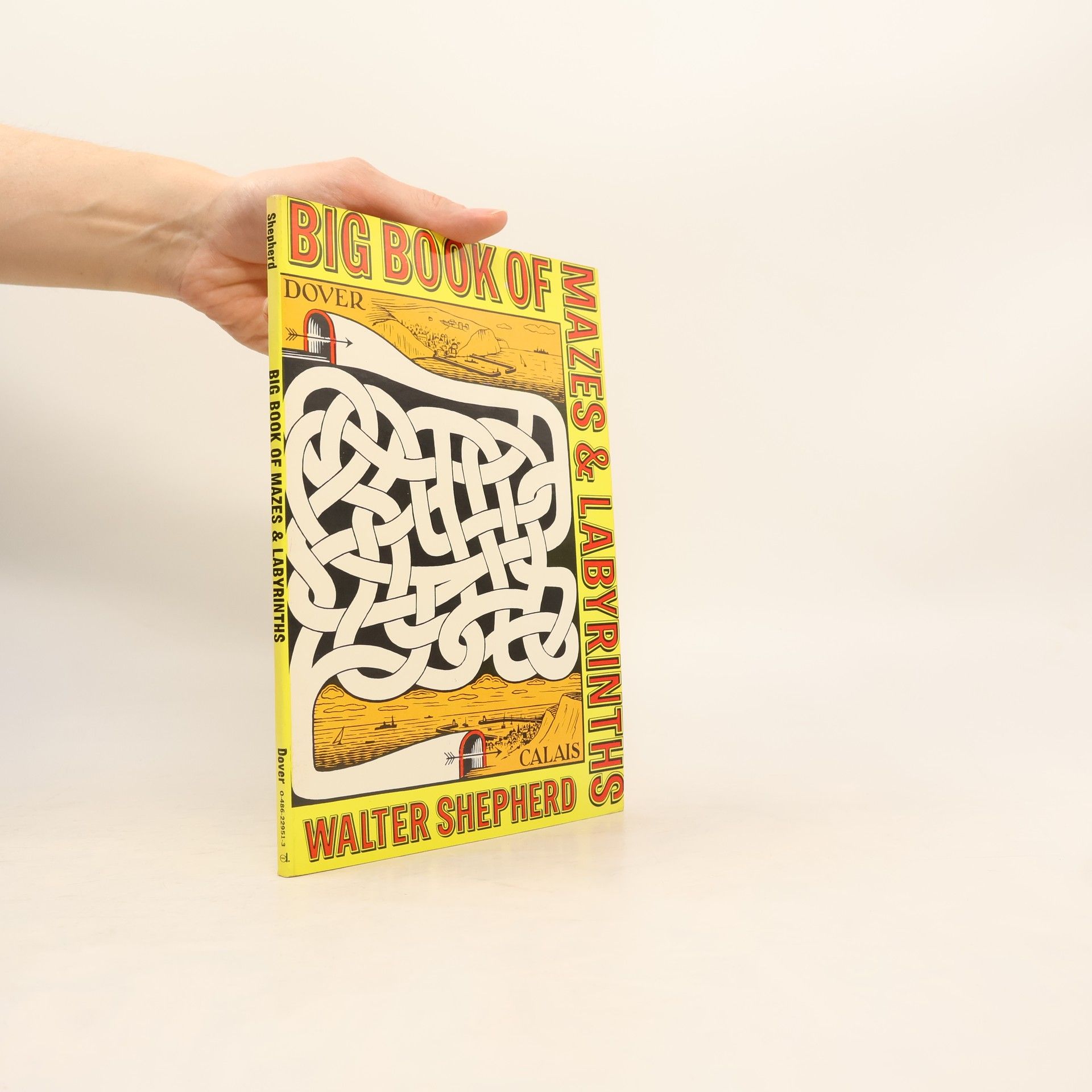 Walter Shepherd Big Book of Mazes and Labyrinths