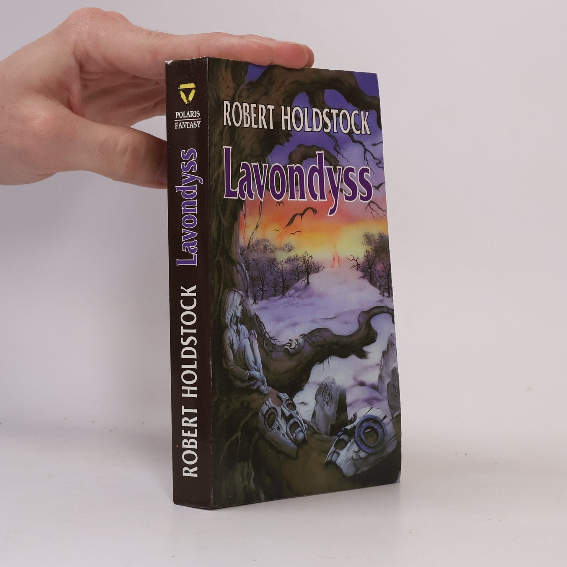 Robert Holdstock Lavondyss : cesta do neznámé země