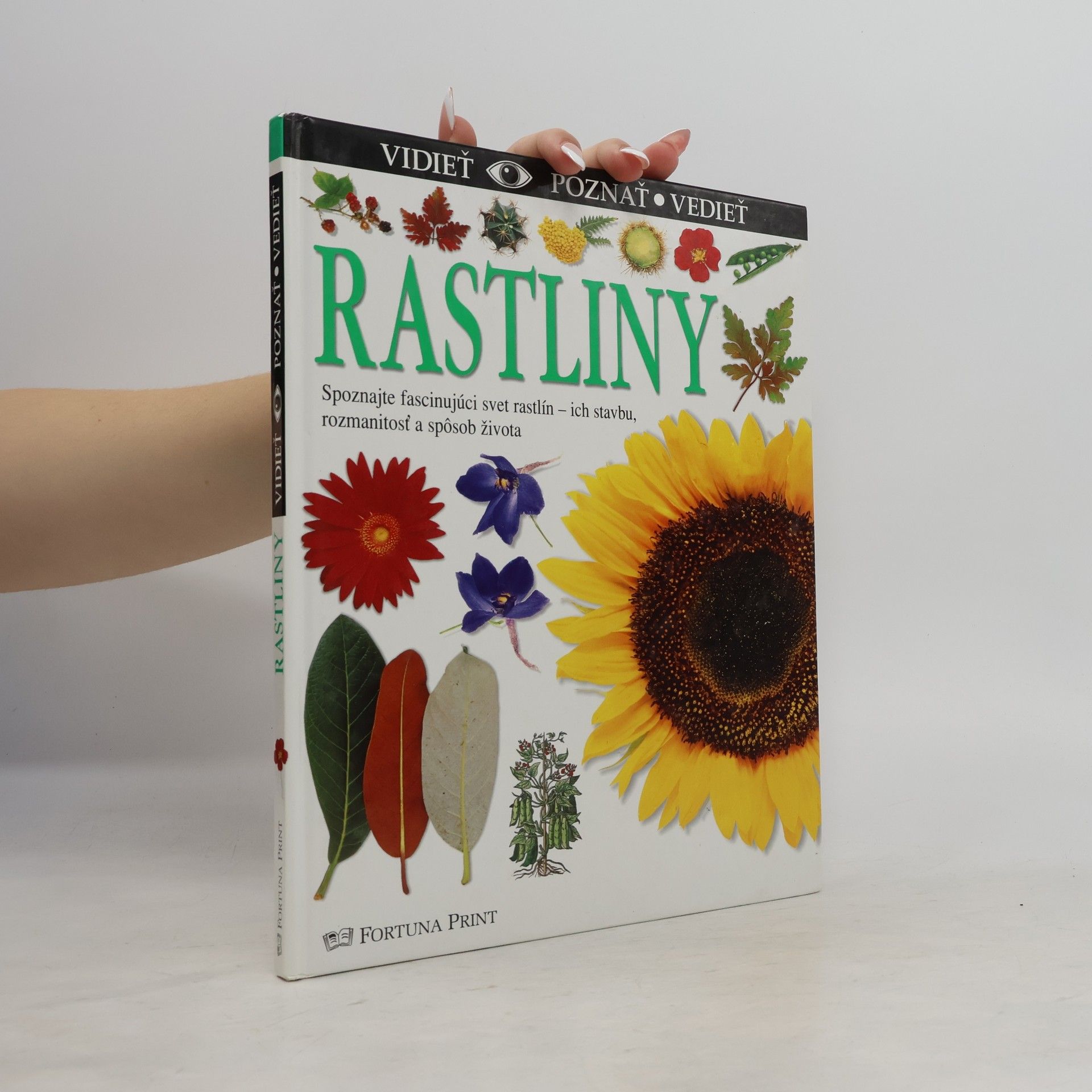 Autorenkollektiv Rastliny