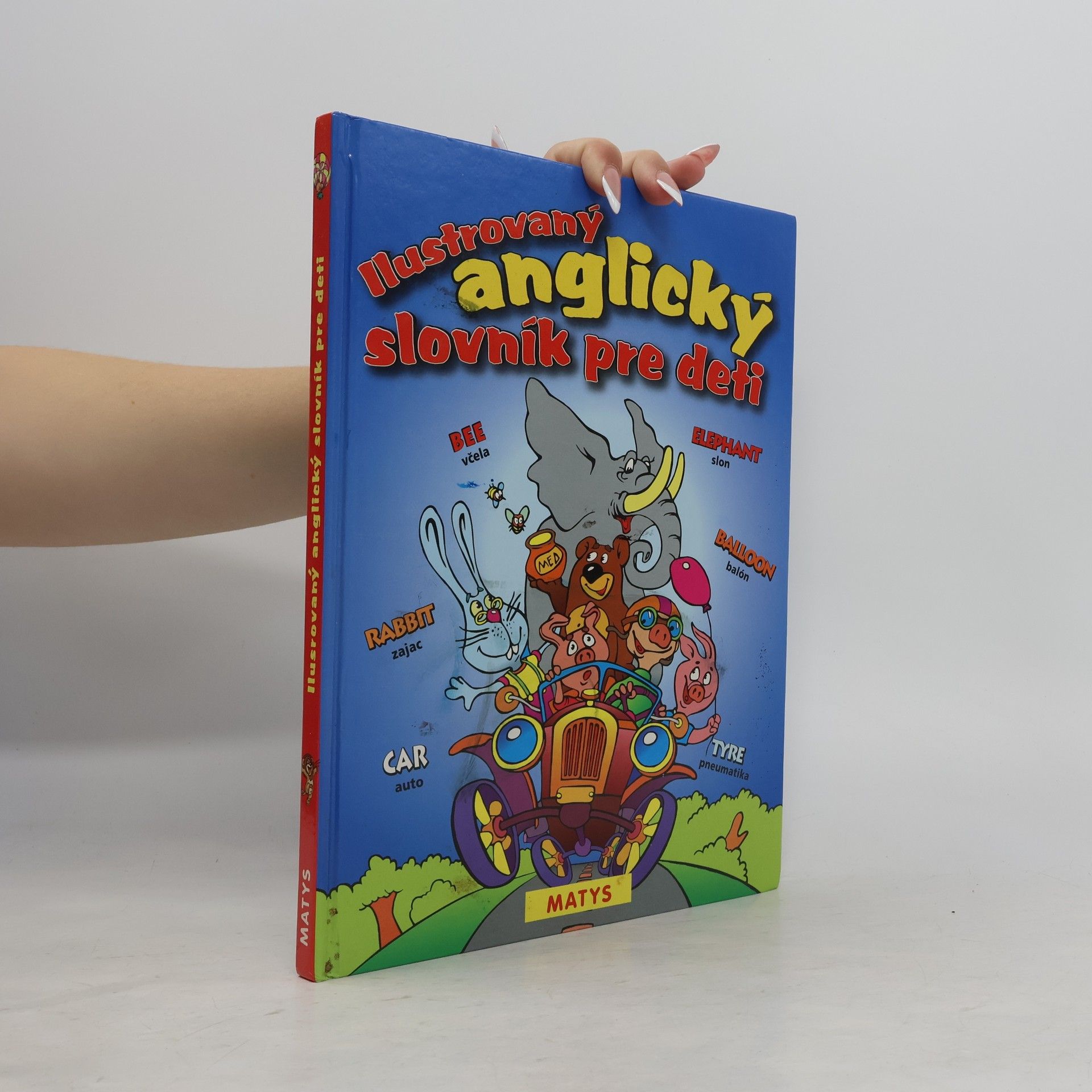 Autorenkollektiv Ilustrovaný anglický slovník pre deti