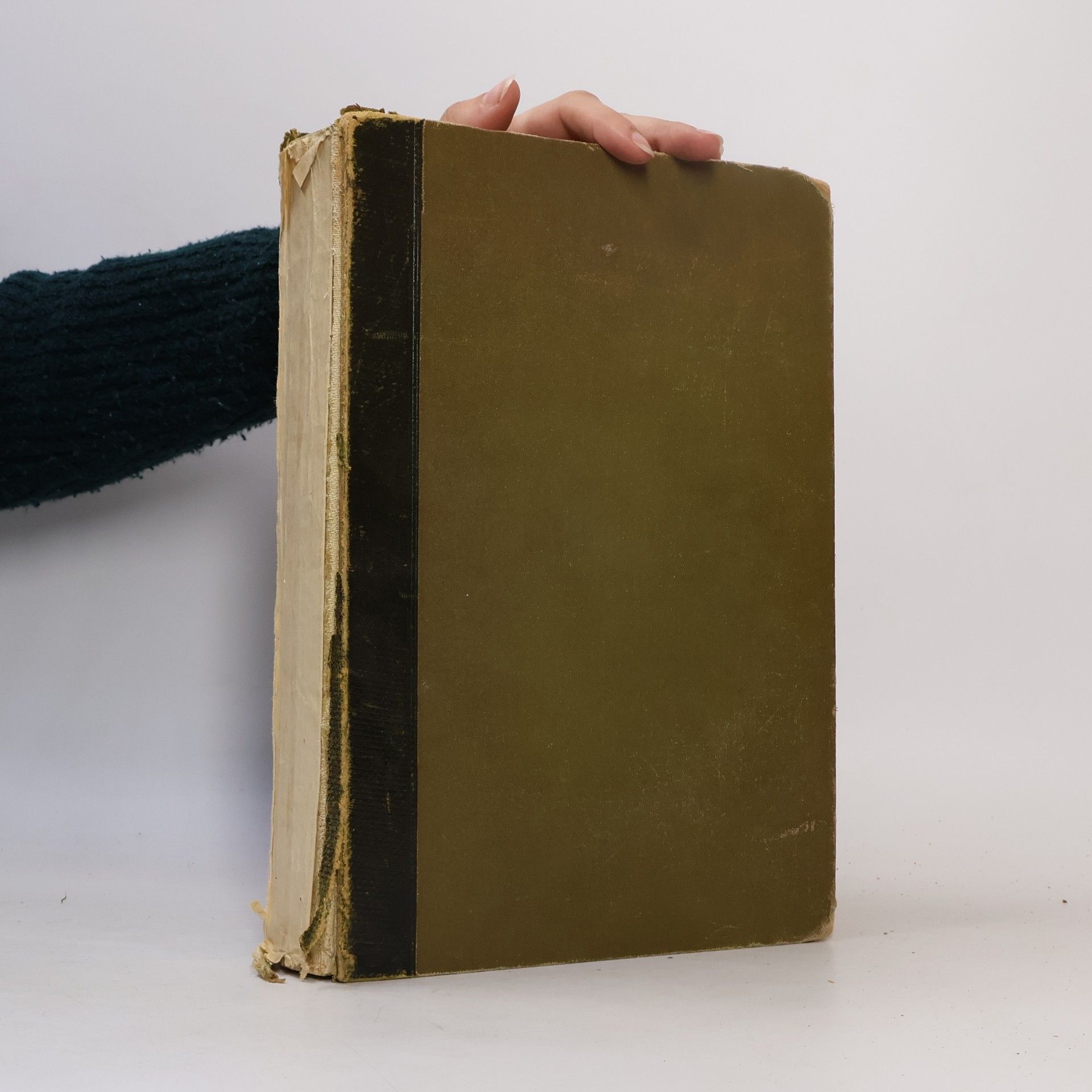 Kolektív autorov Lateinisch-Deutsches Schulwörterbuch