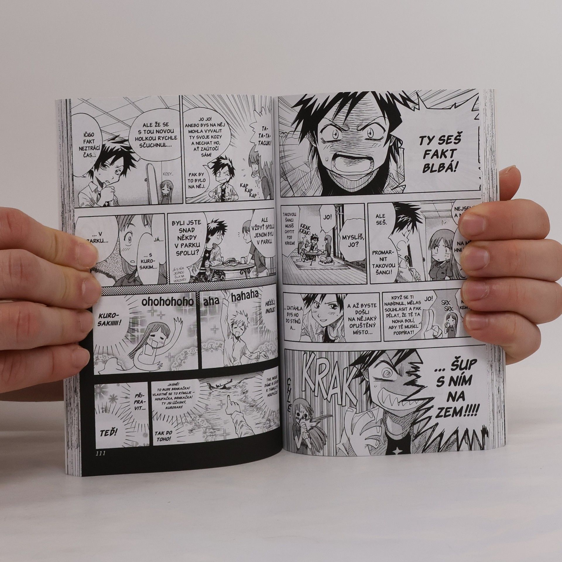 Tite Kubo Bleach. 1, The Death and the Strawberry