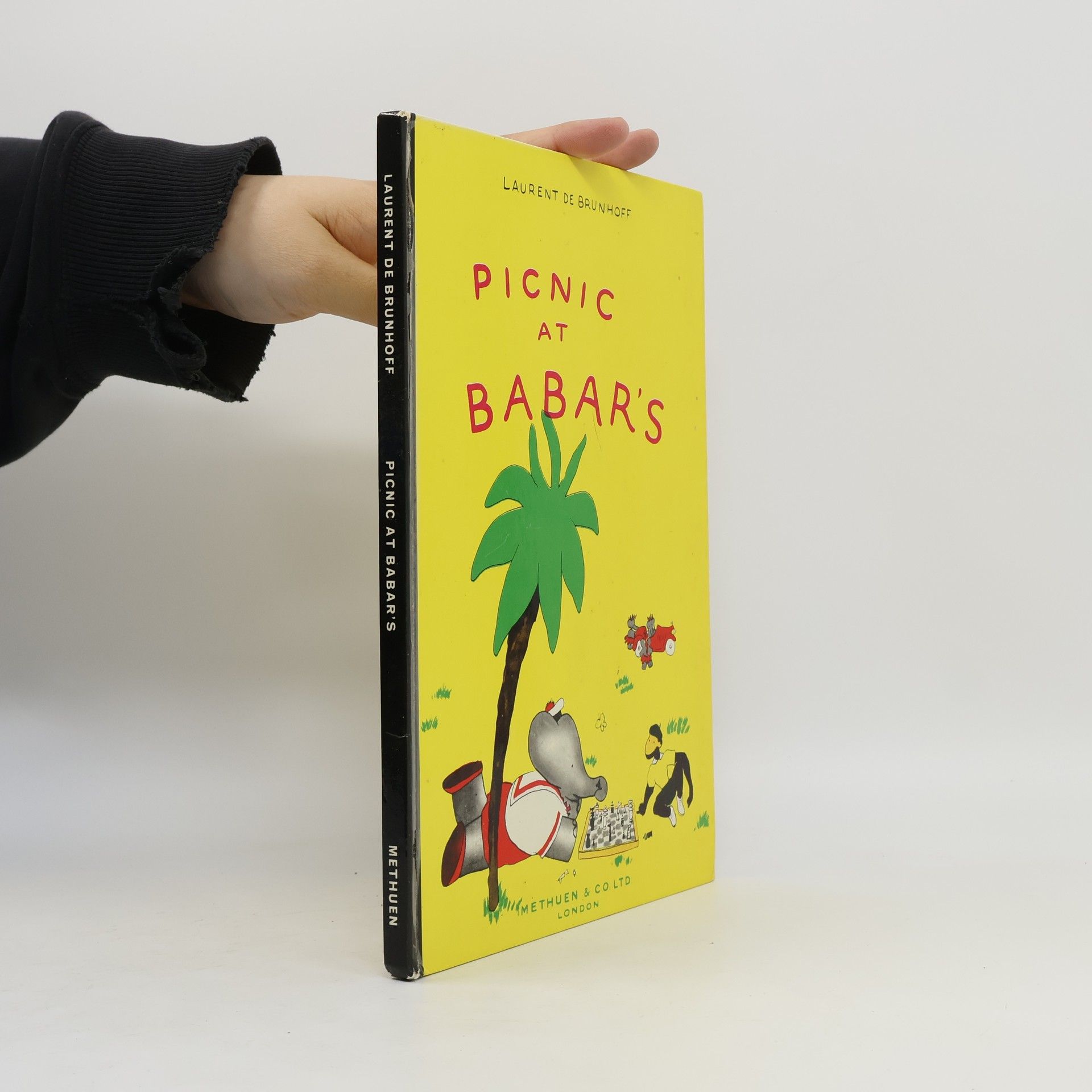 Picnic at Babar's