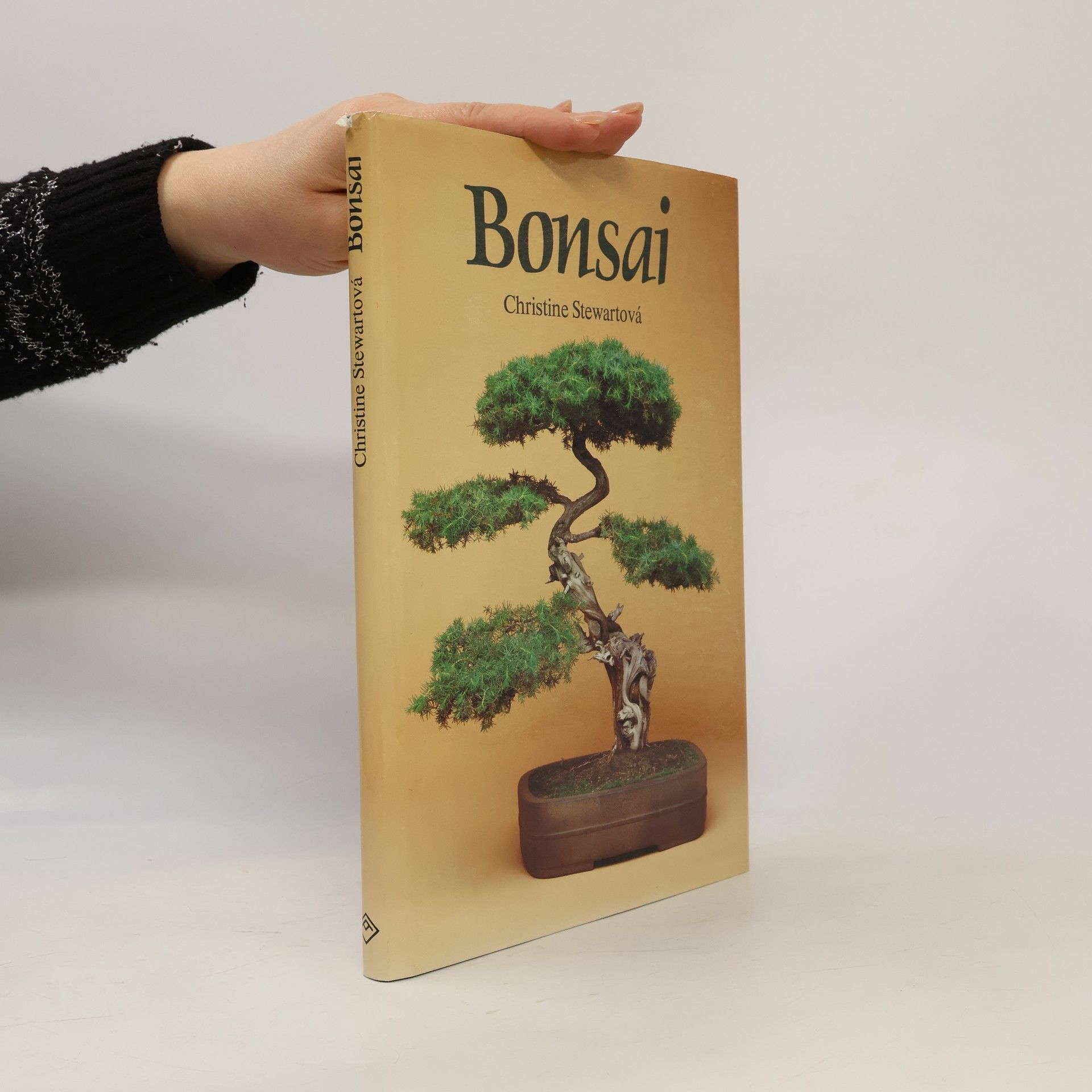 Christine Stewart Bonsai