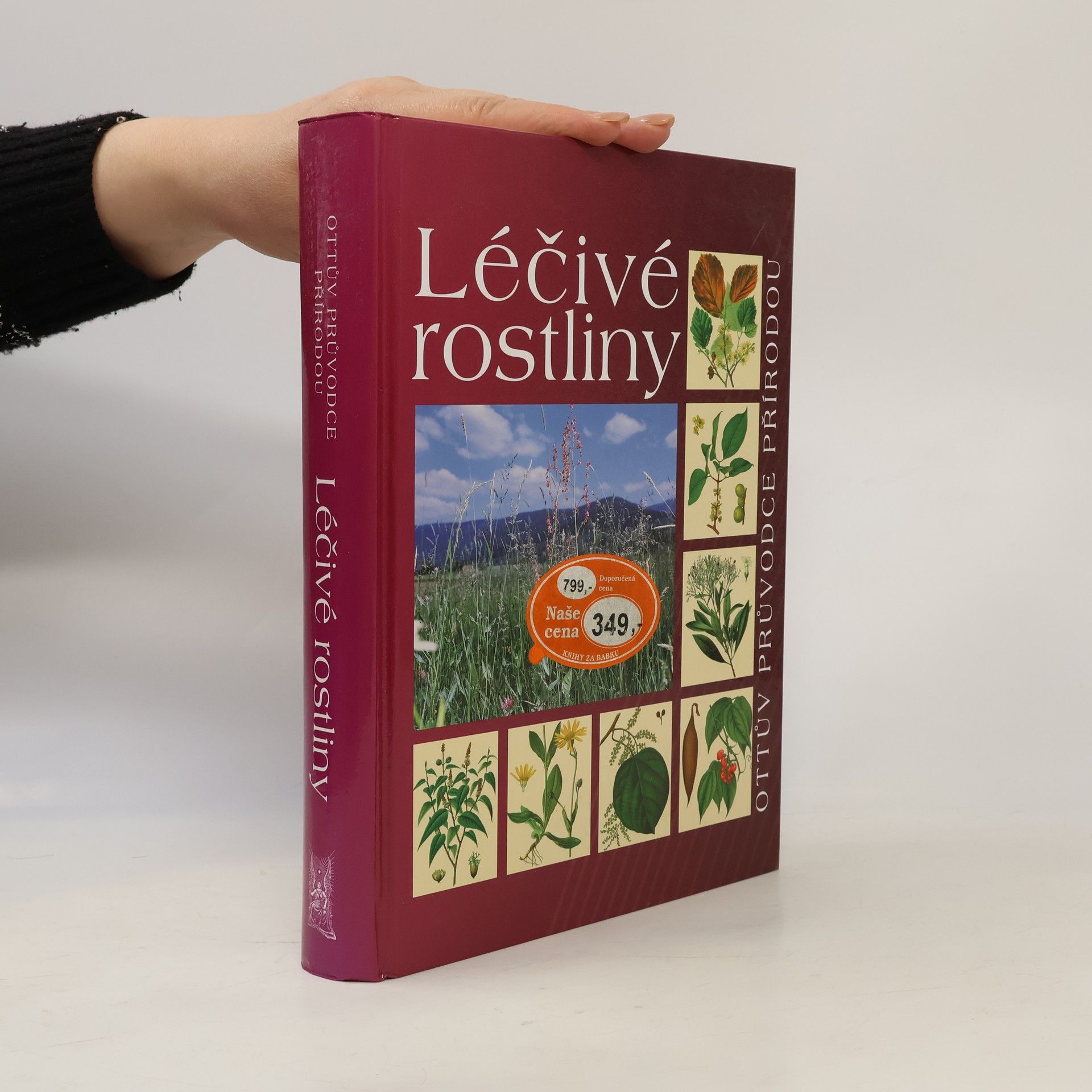 Peter Schönfelder Léčivé rostliny