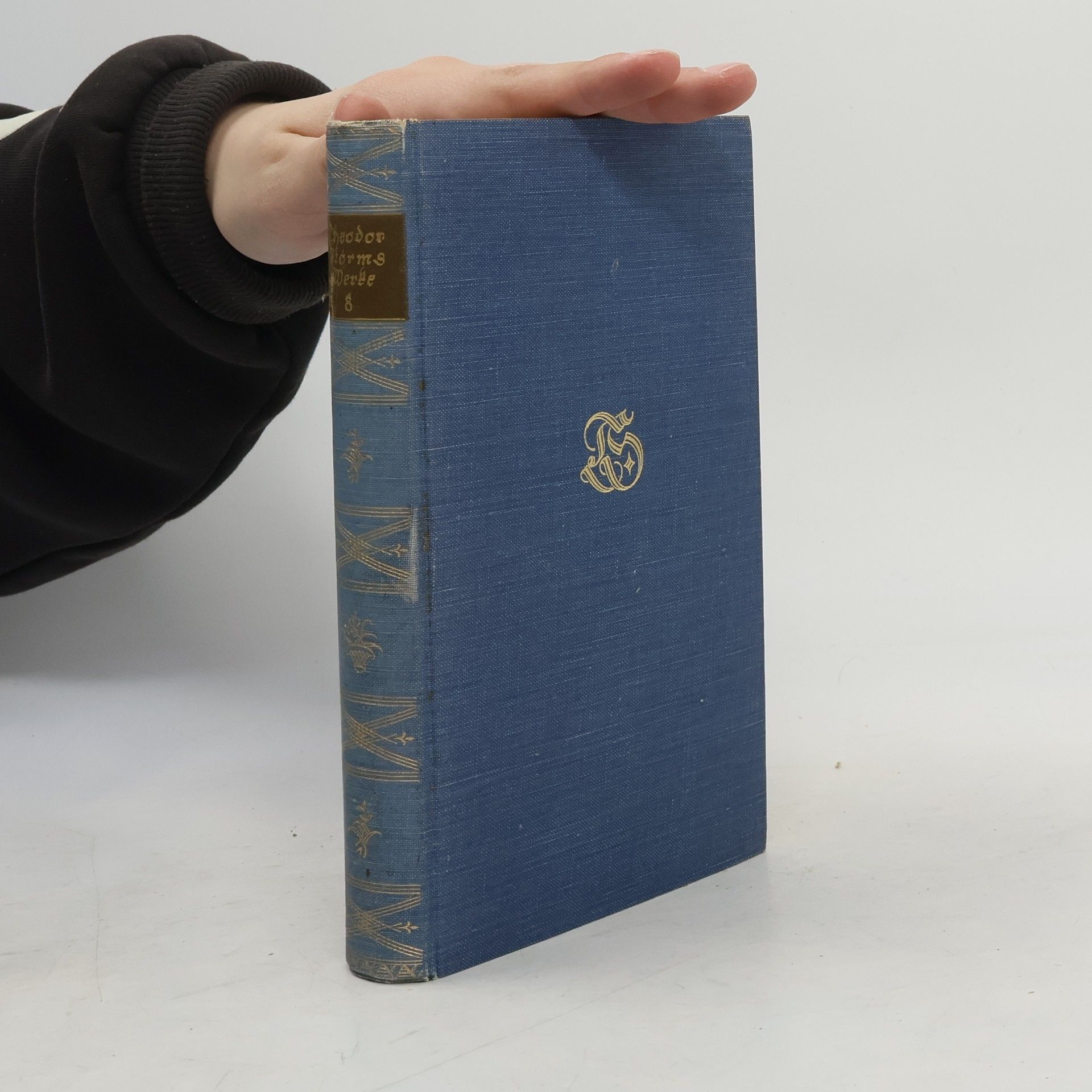Theodor Storm Sämtliche Werke 8