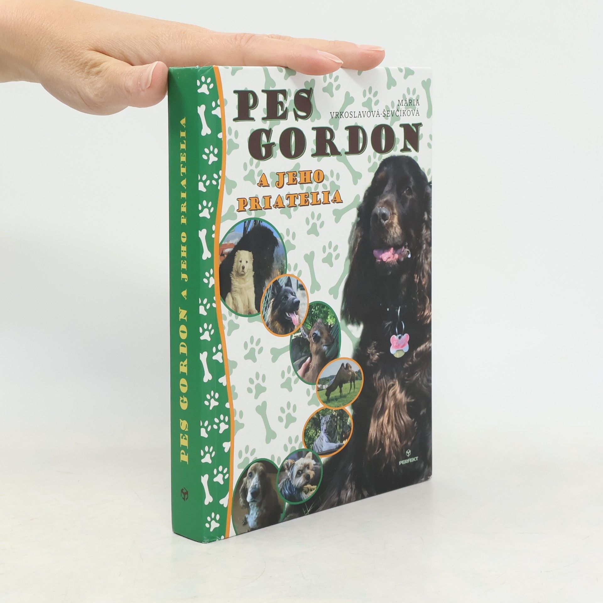 Mária Ševčíková Vrkoslavov Pes Gordon a jeho priatelia