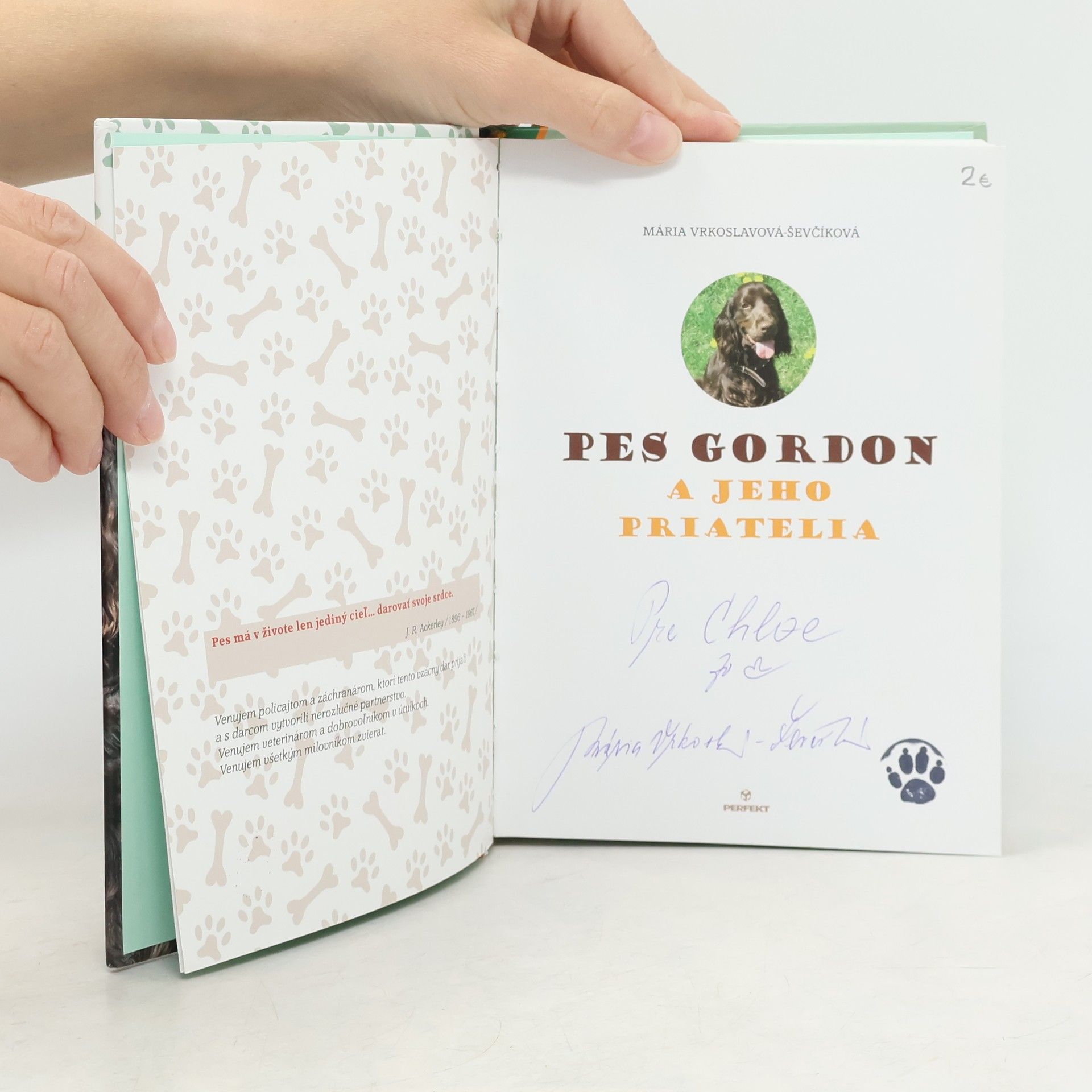 Mária Ševčíková Vrkoslavov Pes Gordon a jeho priatelia