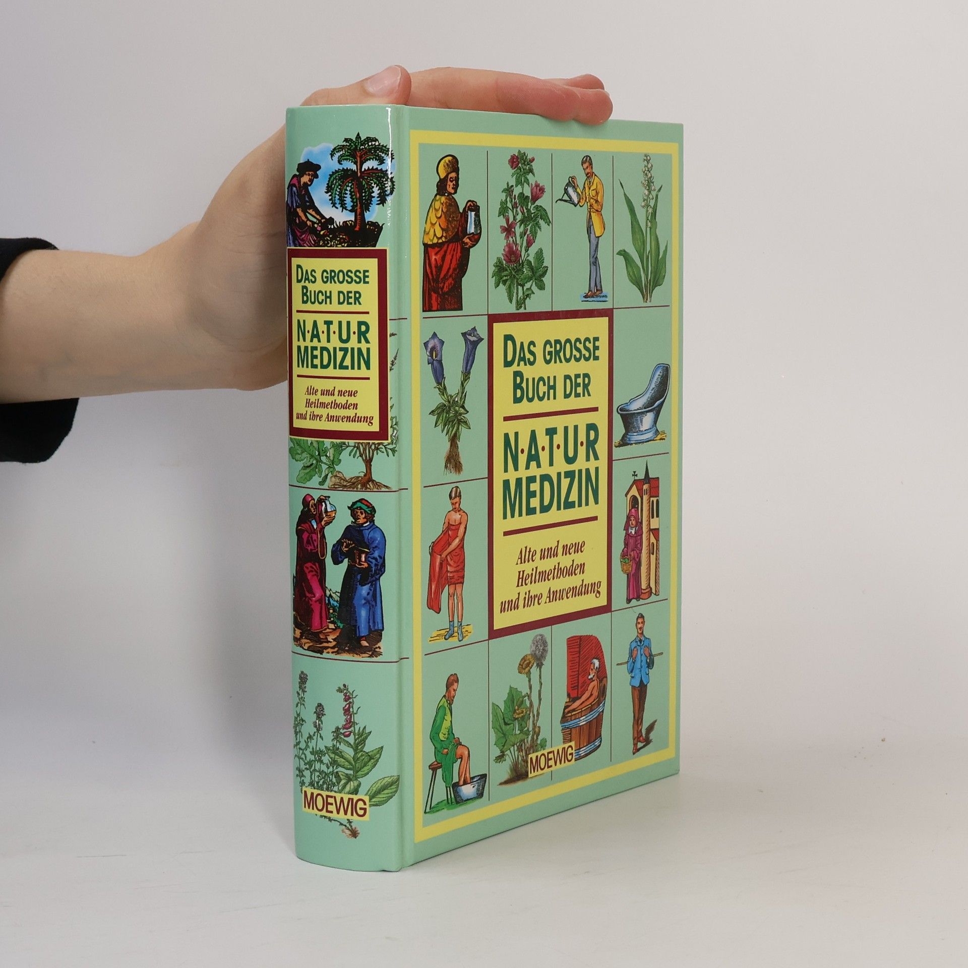 Maxmilian Alexander Das grosse Buch der Naturmedizin