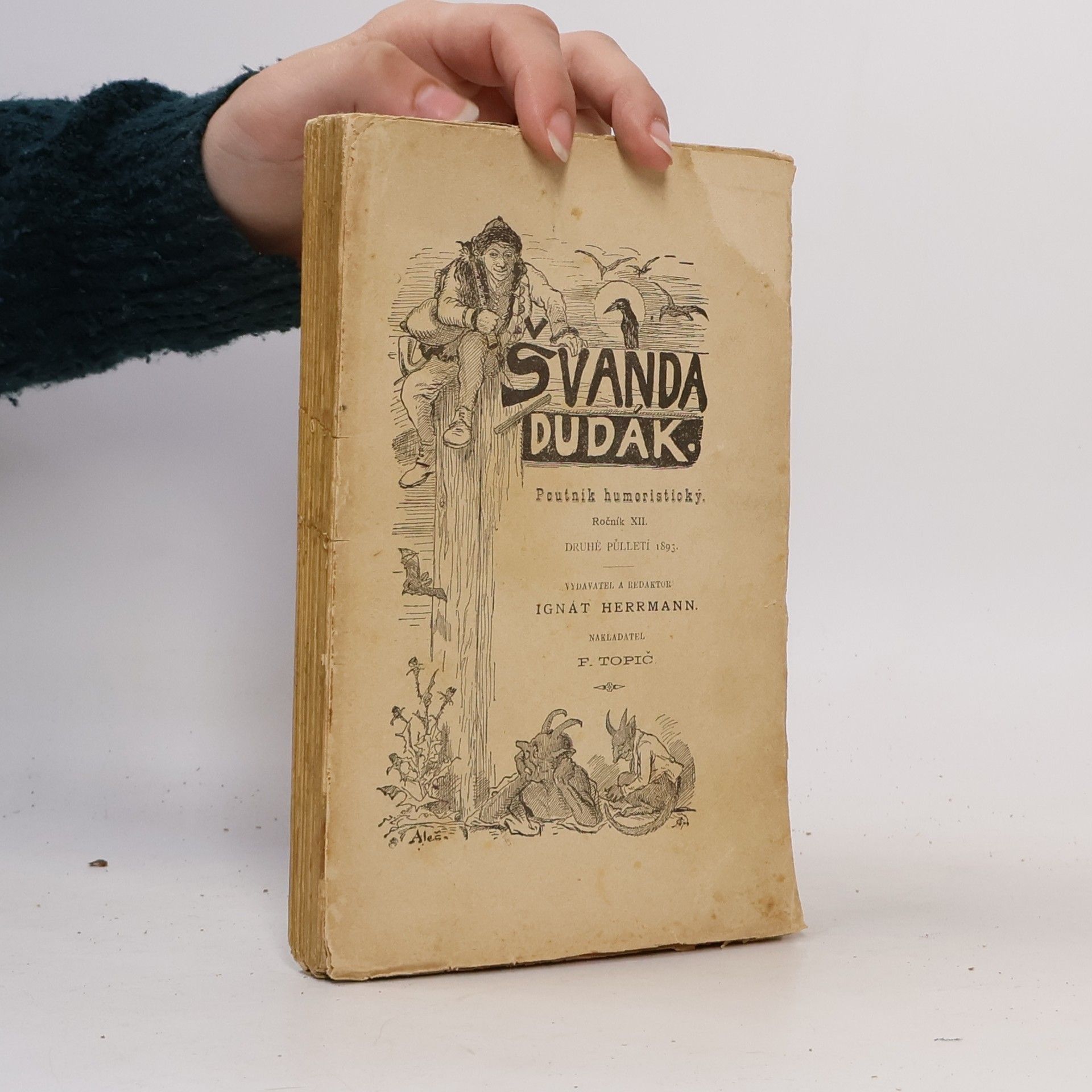 Autorenkollektiv Švanda dudák XII