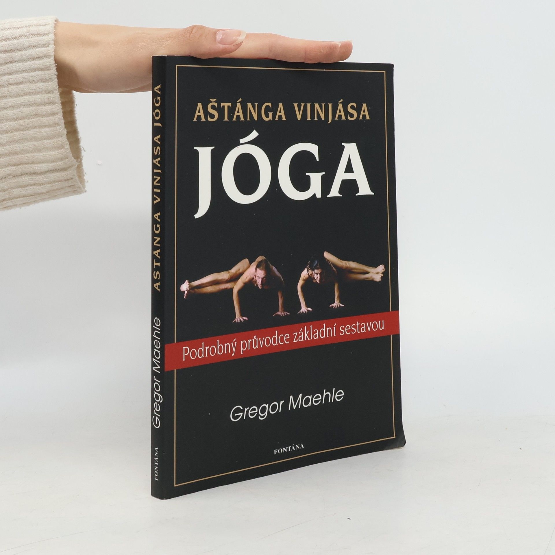 Gregor Maehle Aštánga vinjása jóga