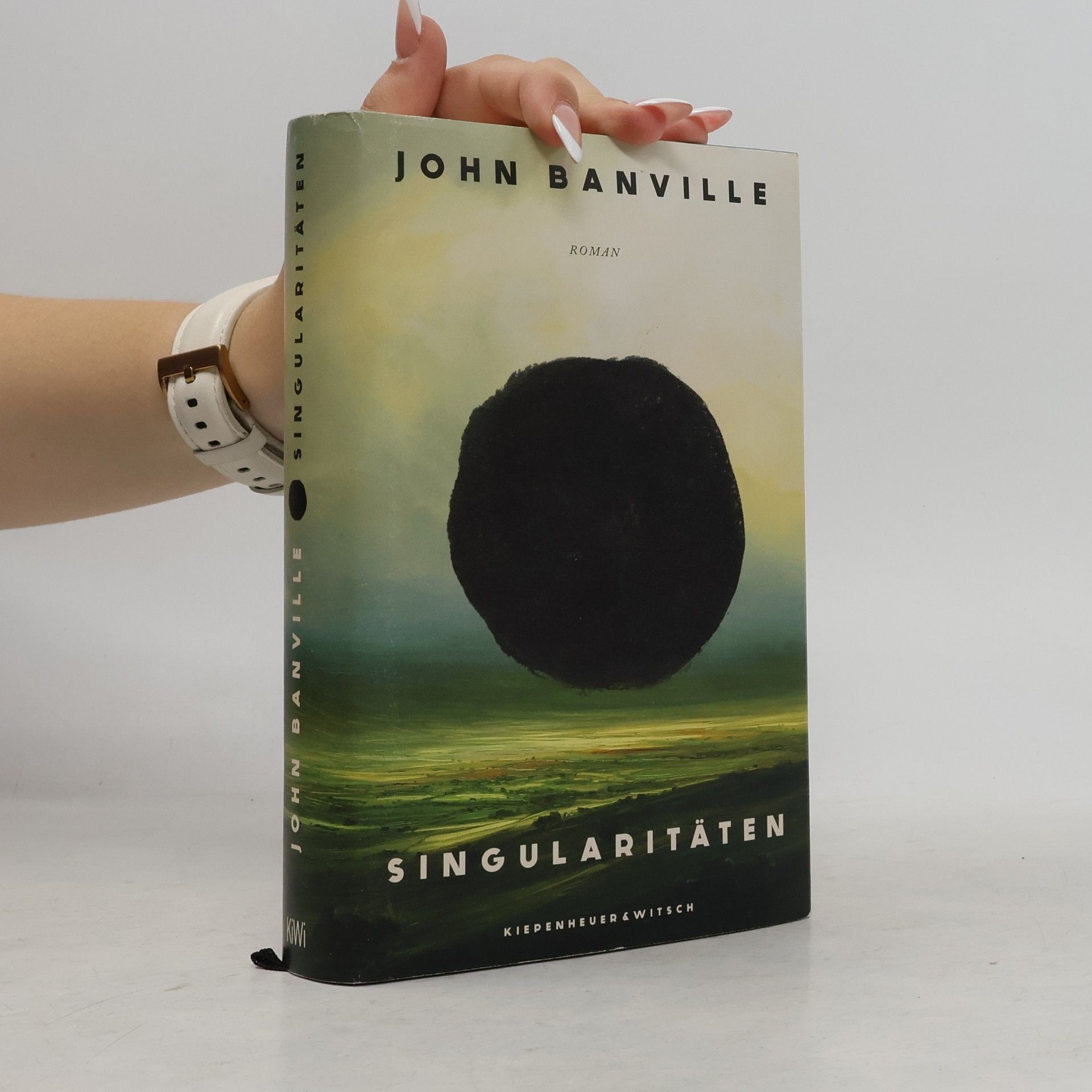 John Banville Singularitäten