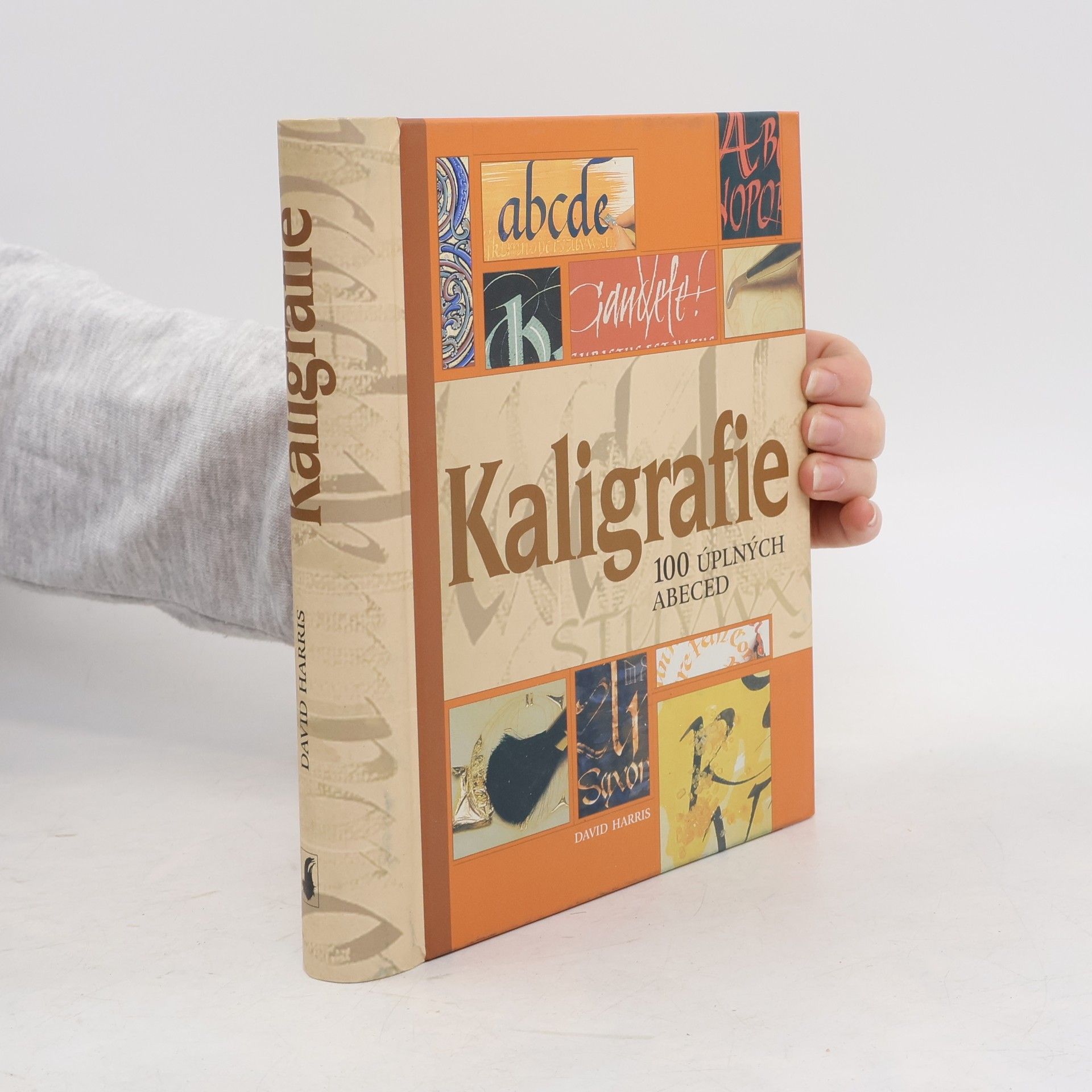 Mary Noble Kaligrafie : 100 úplných abeced: Podrobný a přehledný průvodce pro každého, kdo by se rád naučil umění krásného psaní