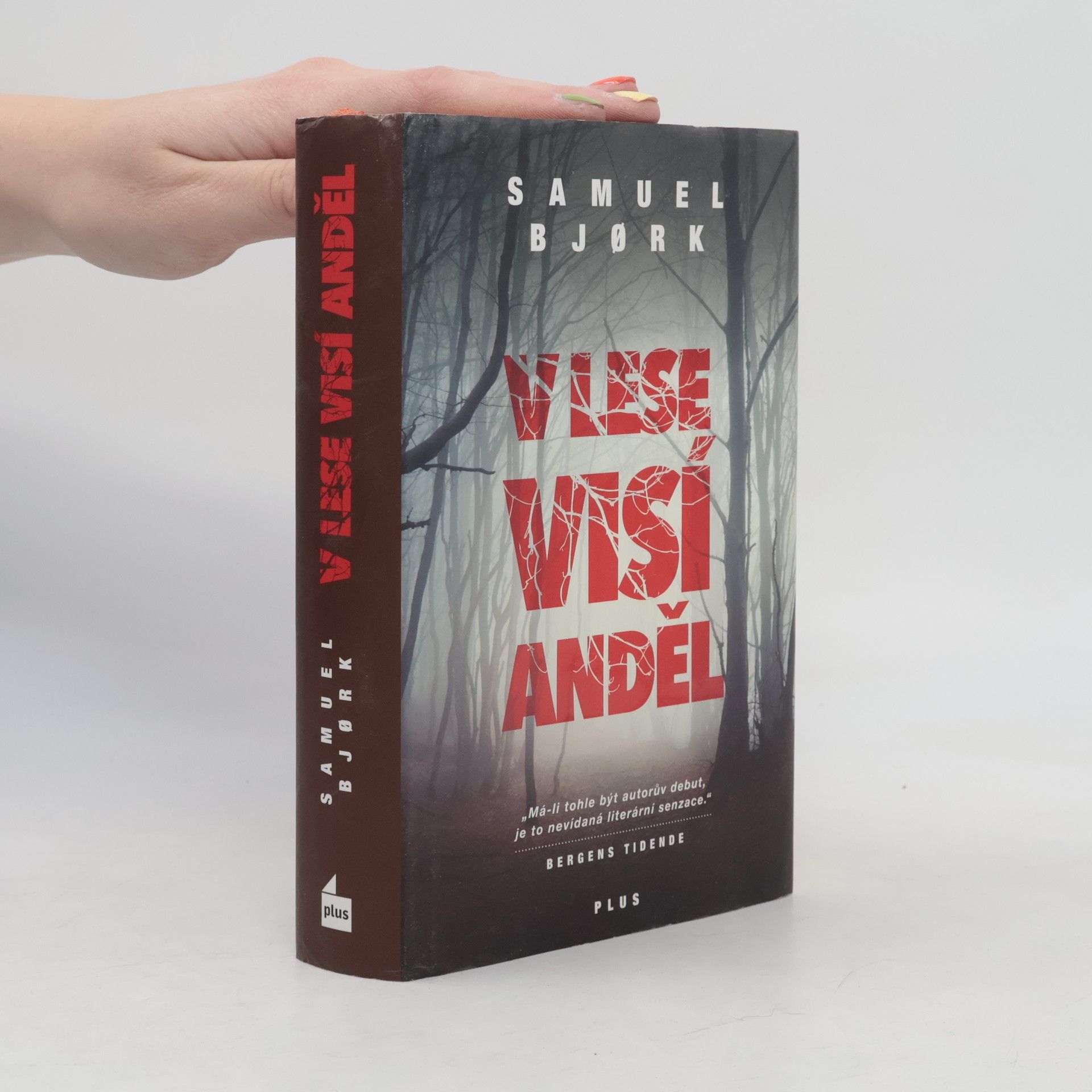 Samuel Bjork V lese visí anděl