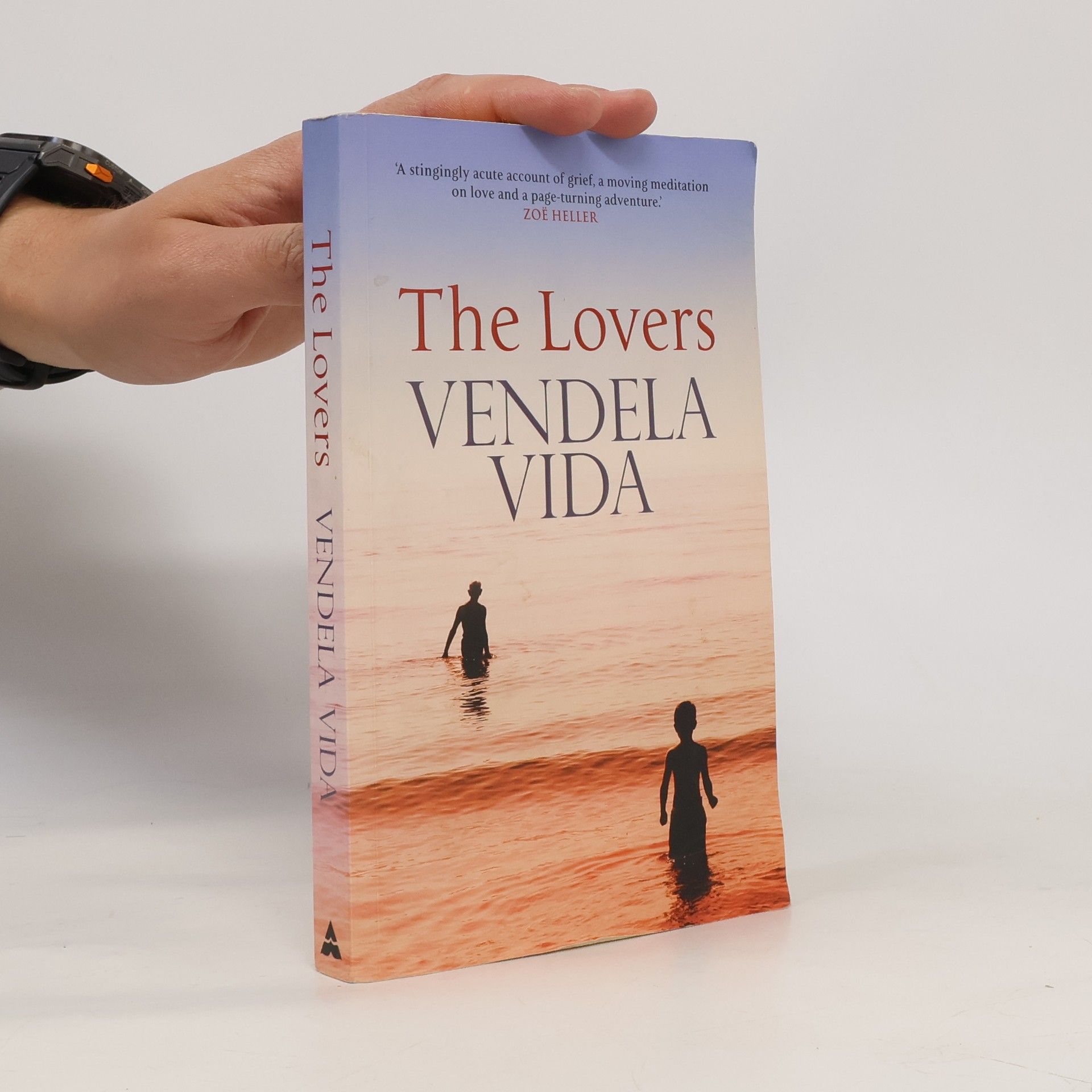 Vendela Vida The Lovers