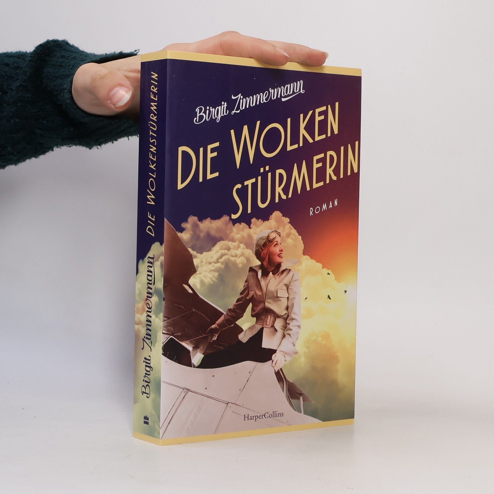 Birgit Zimmermann Die Wolkenstürmerin