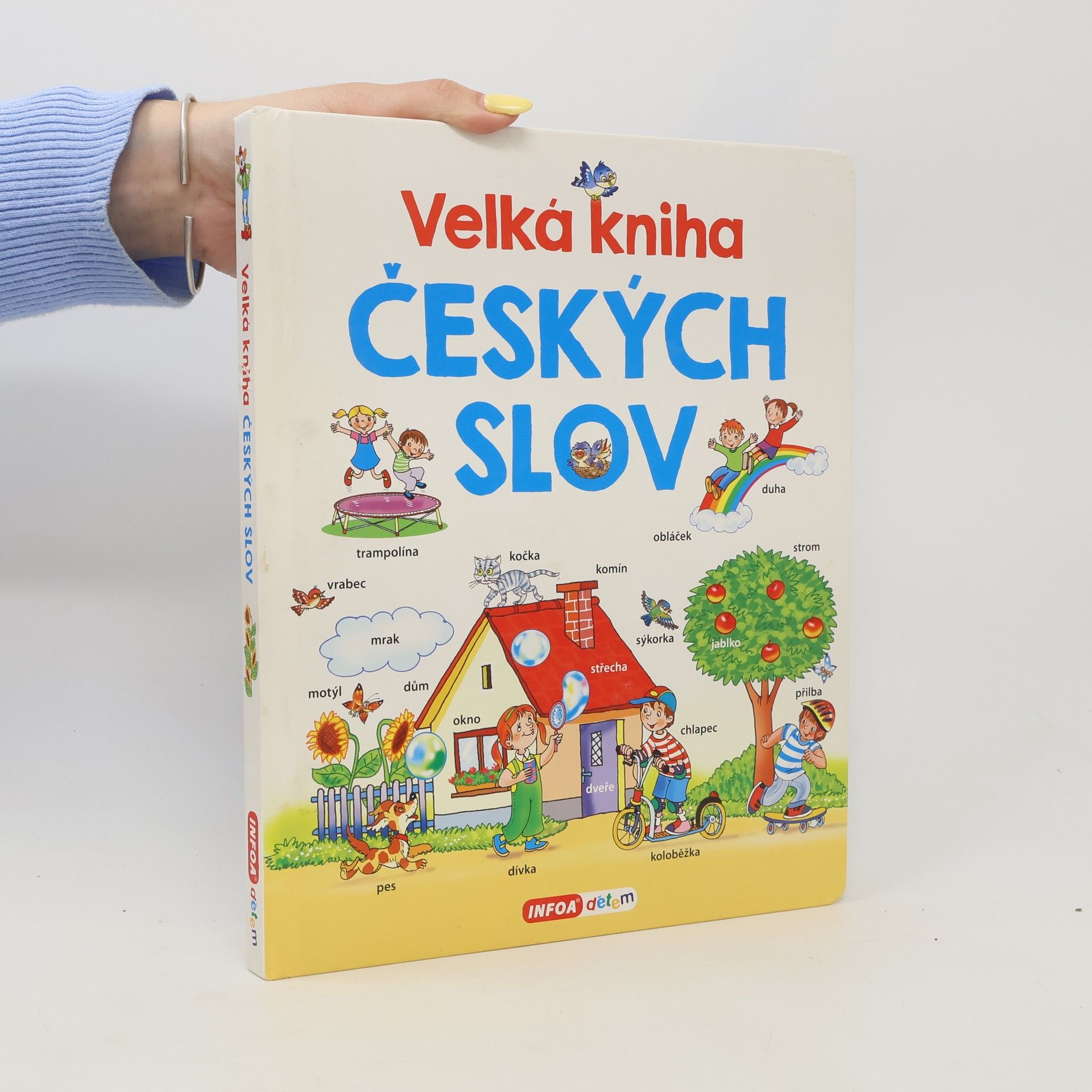 Velká kniha českých slov