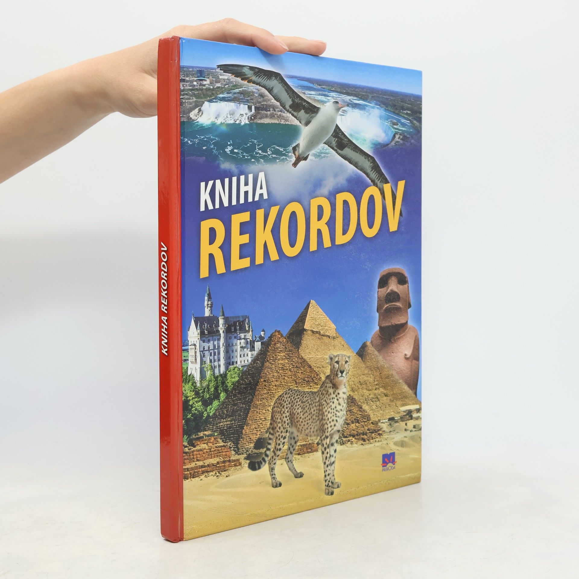 Kolektiv autorů Kniha rekordov