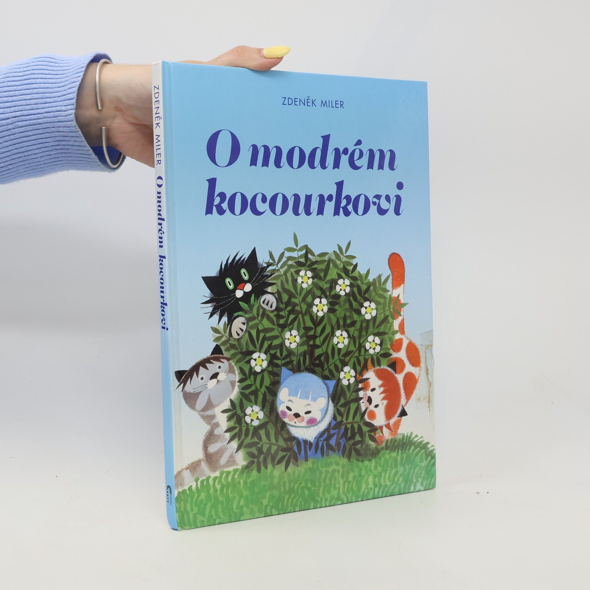 Marika Hellstrom Kennedy O modrém kocourkovi
