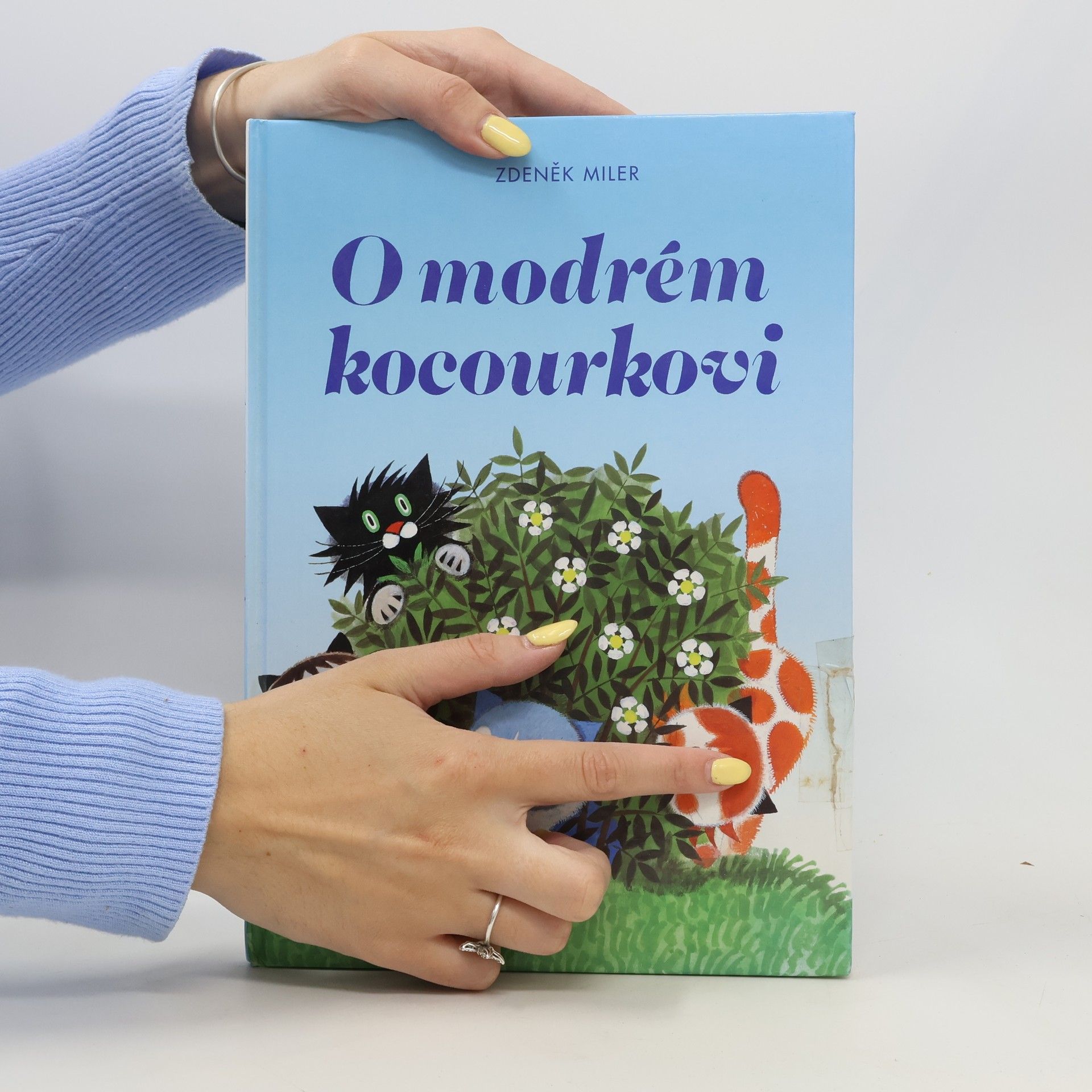 Marika Hellstrom Kennedy O modrém kocourkovi
