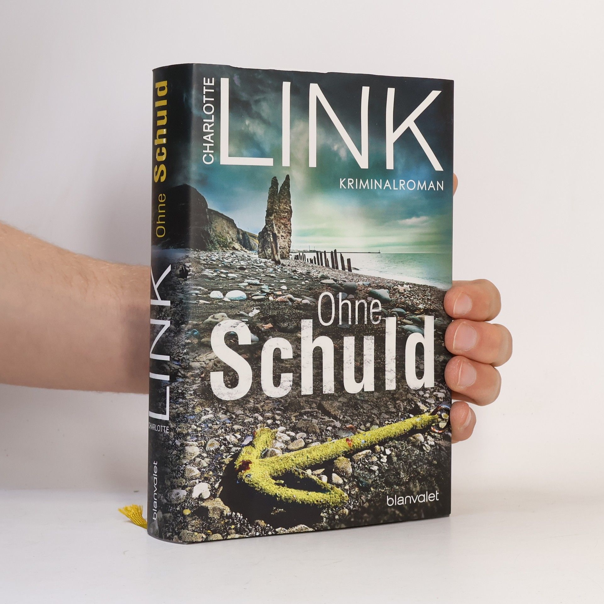 Charlotte Link Ohne Schuld