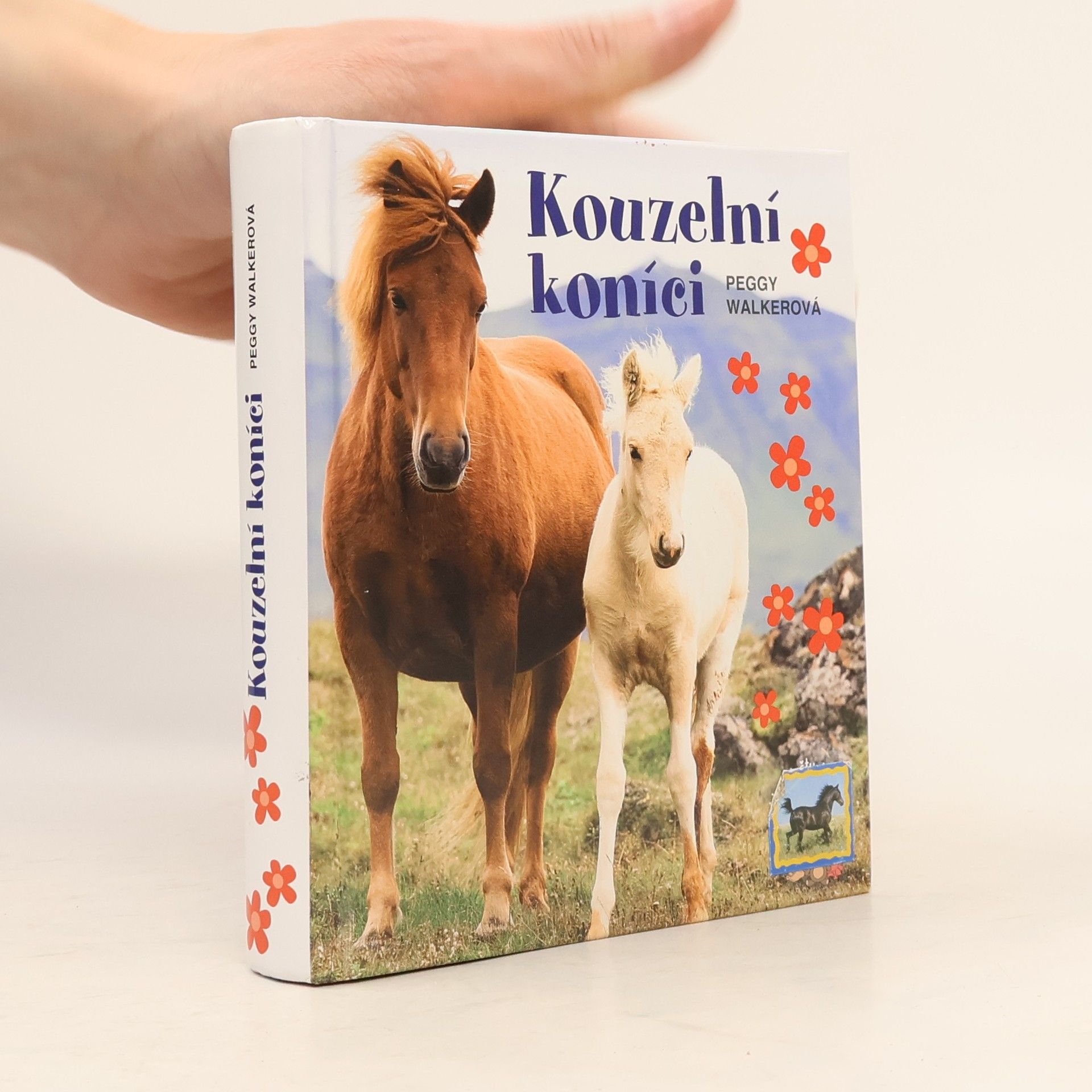 Kateřina Sigmundová Kouzelní koníci