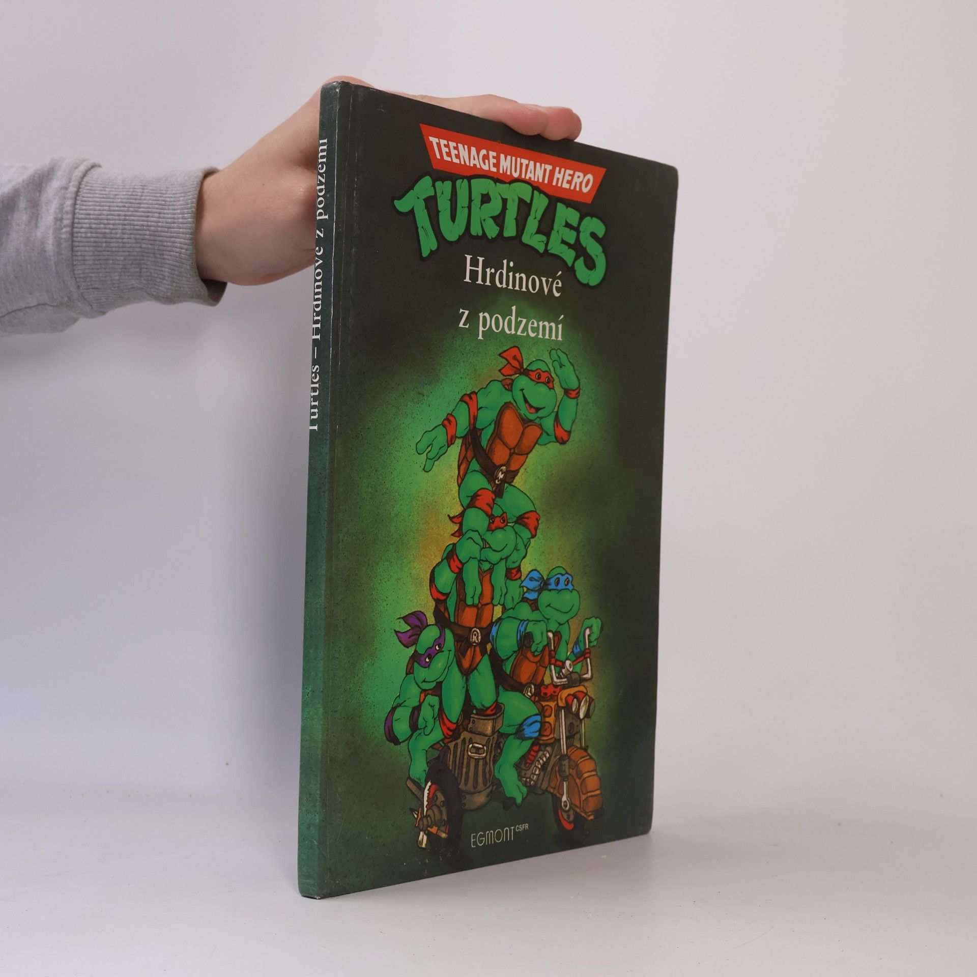 Maureen Spurgeon Teenage Mutant Ninja Turtles. Hrdinové z podzemí