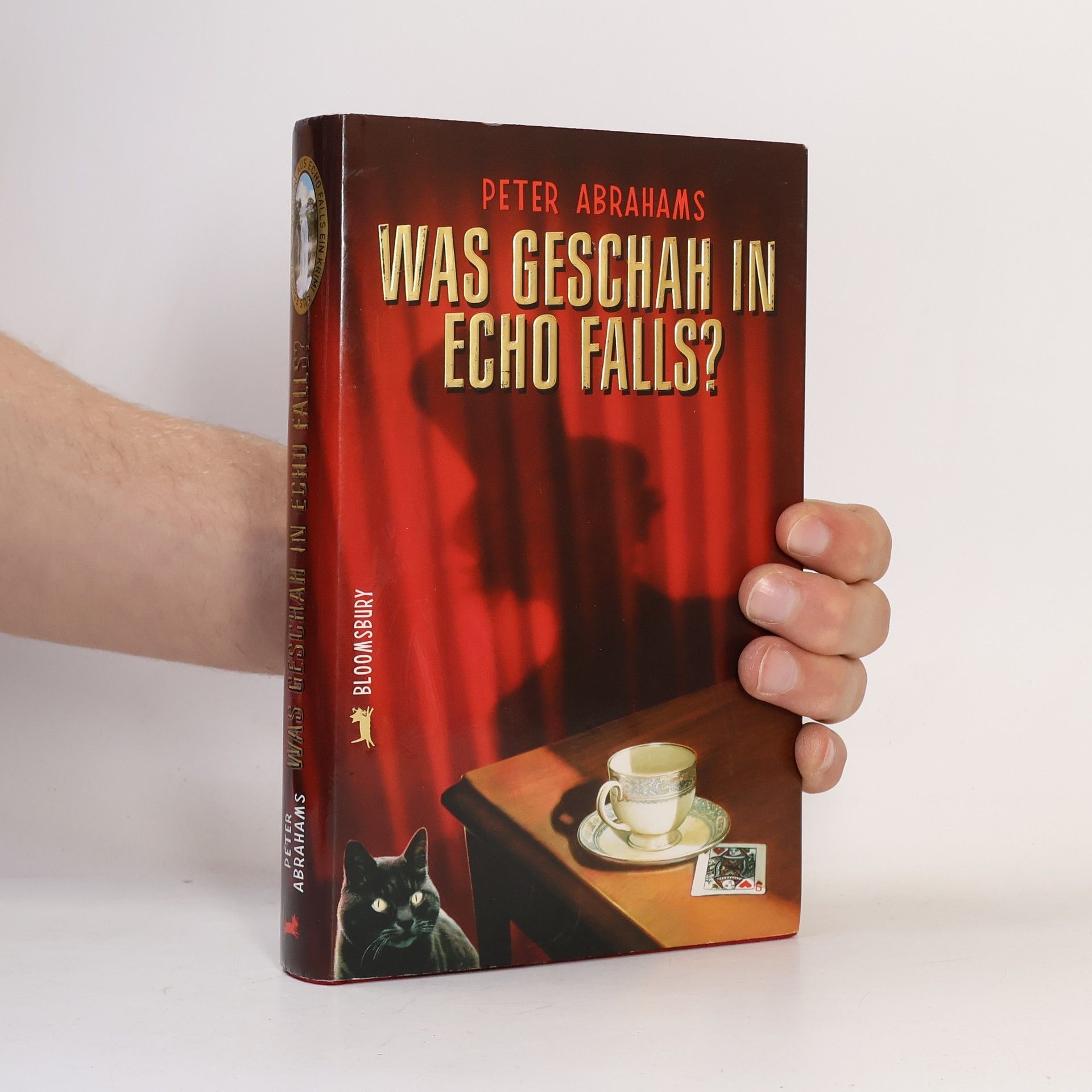 Abrahams Peter Was geschah in Echo Falls?