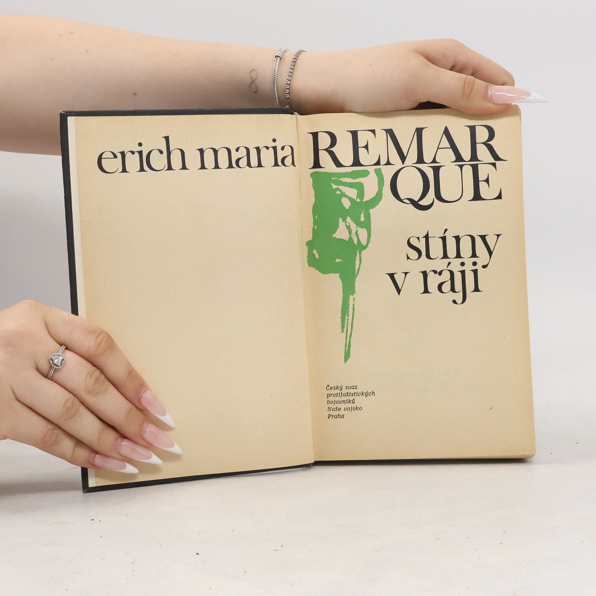 Erich Maria Remarque Stíny v ráji