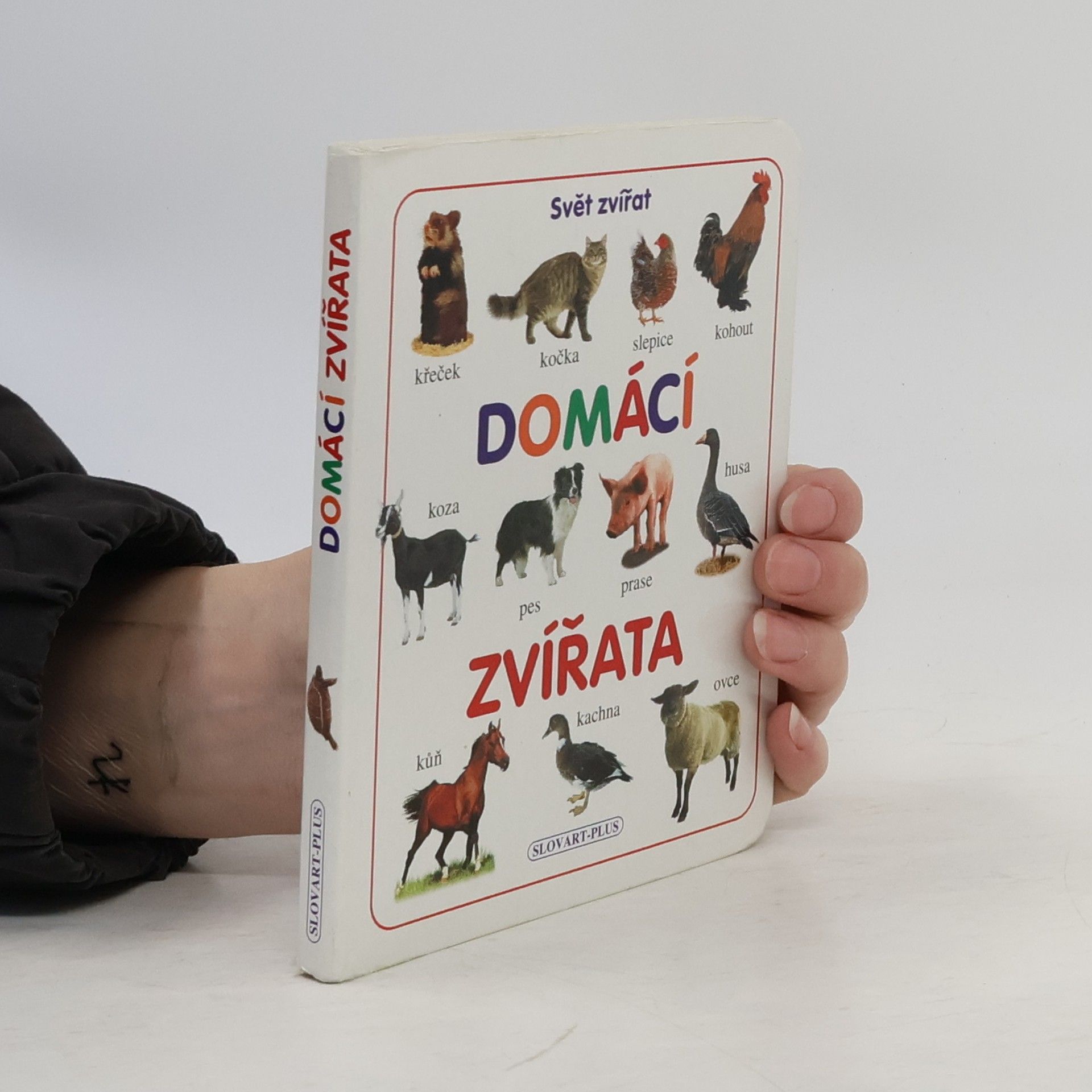 Markéta Šubotníková Domácí zvířata