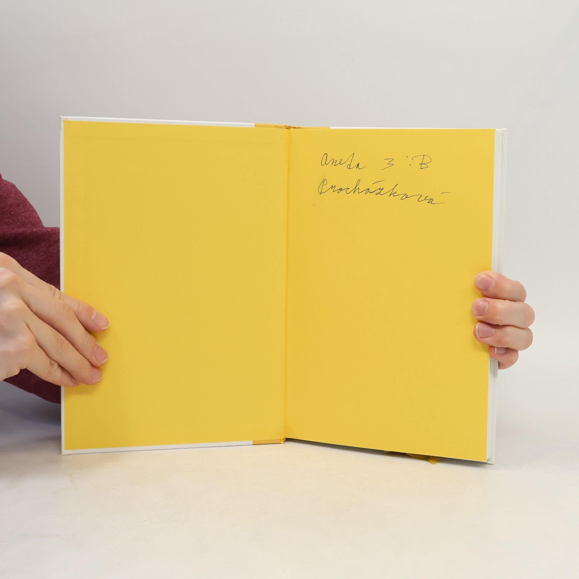 Astrid Lindgren Děti z Bullerbynu
