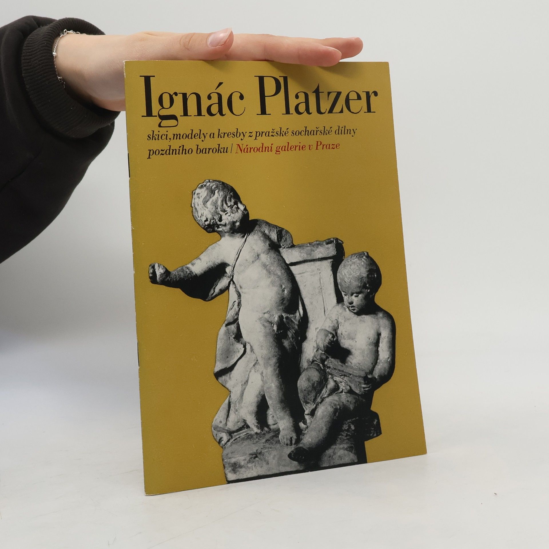Jiří Kotalík Ignác Platzer