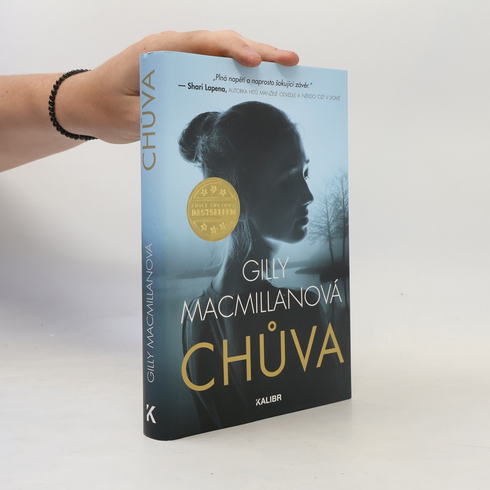 Gilly Macmillan Chůva