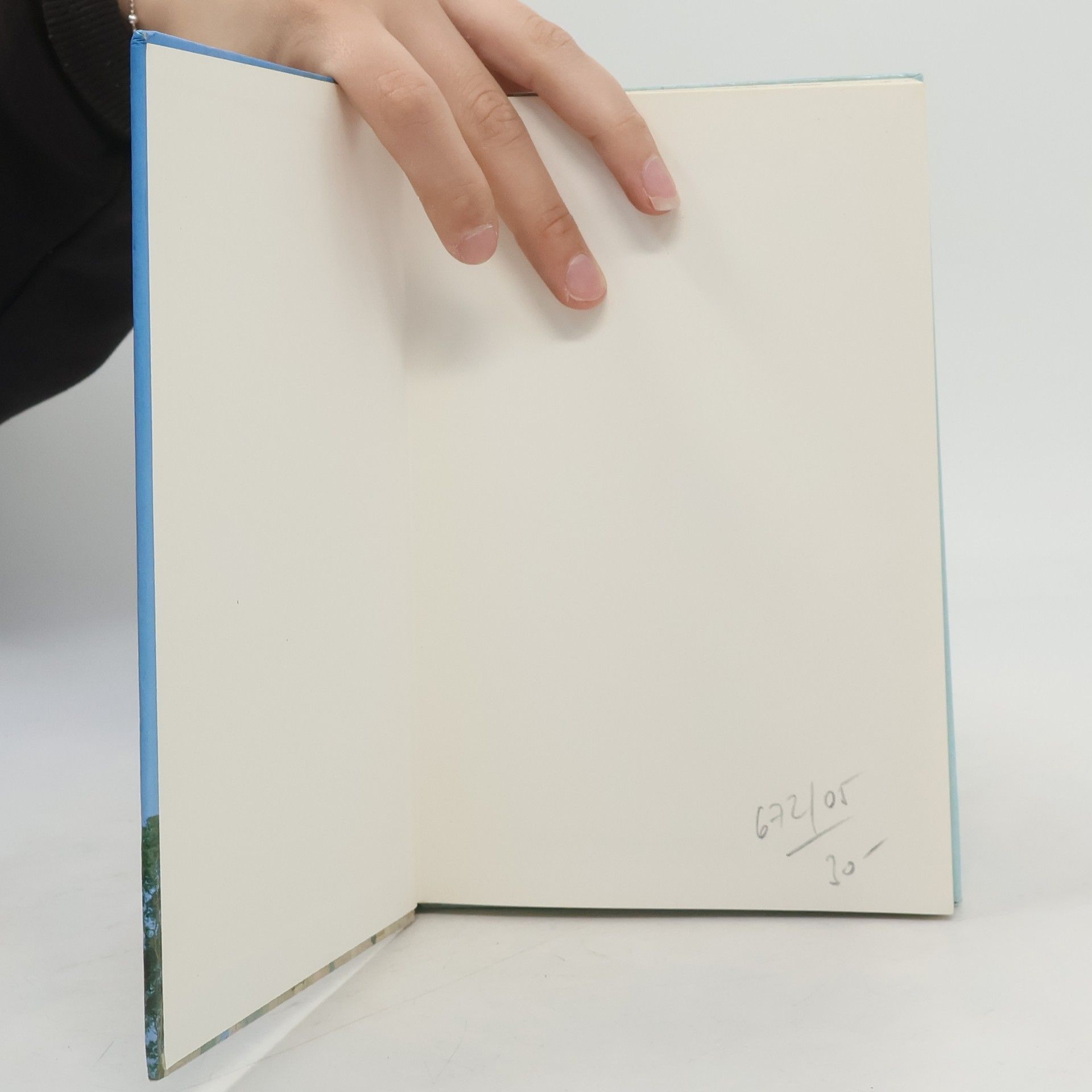Franca Bedin Wie erkenne ich chinesische Kunst?