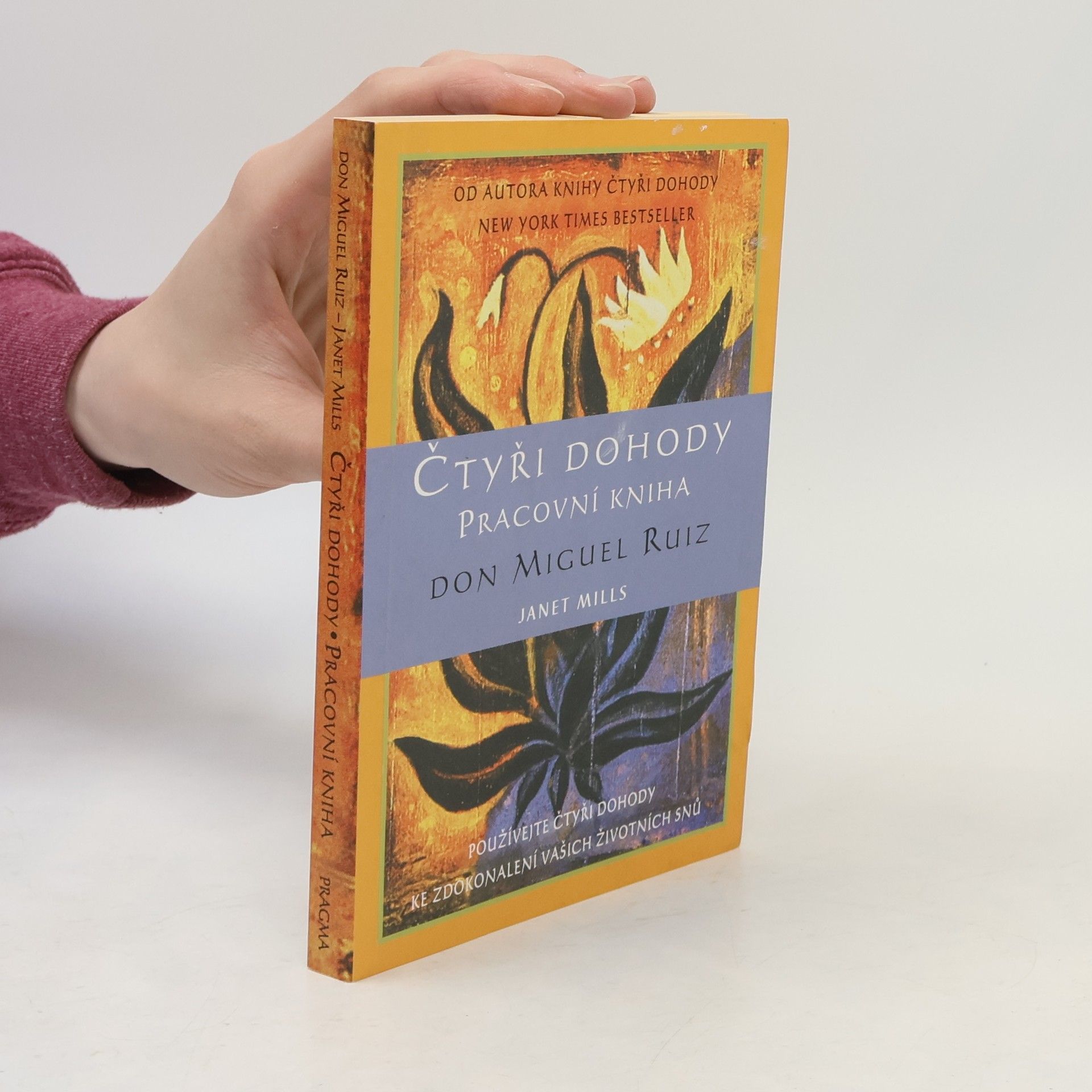 Don Miguel Ruiz Čtyři dohody. Pracovní kniha